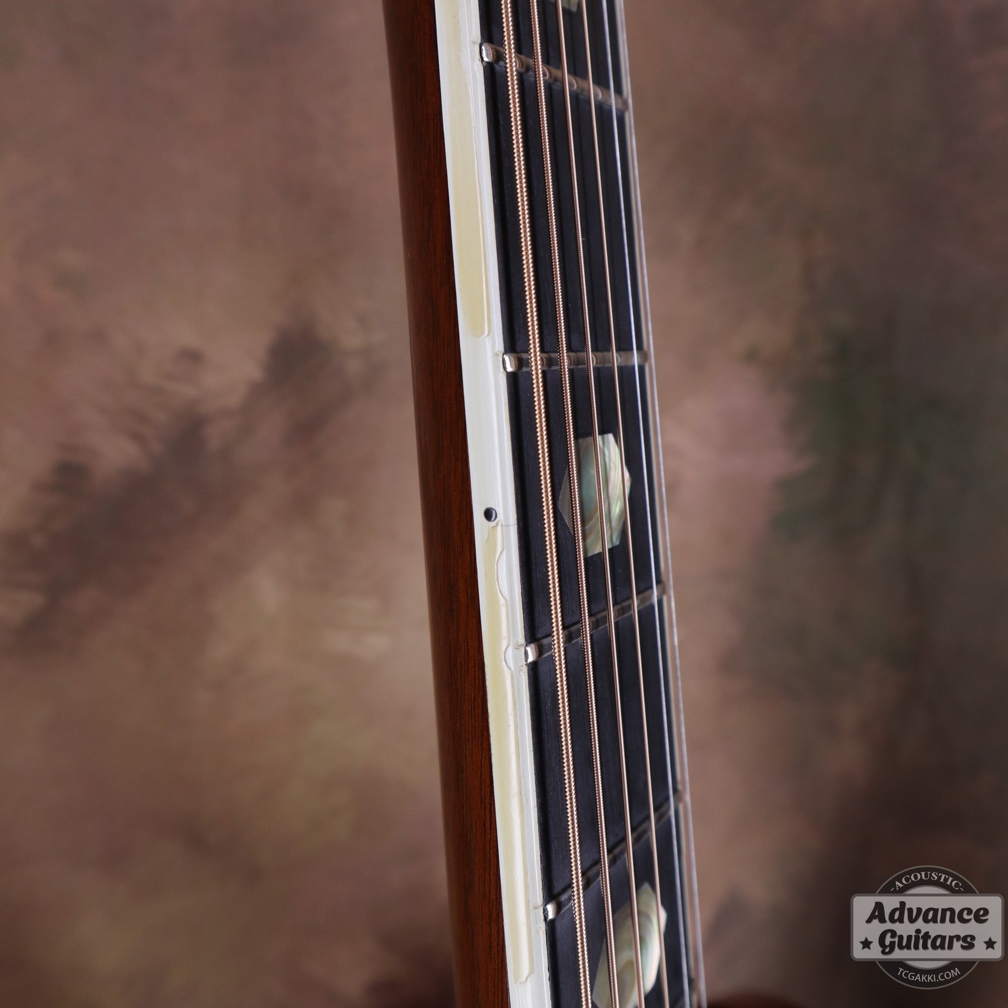 1975年製 D - 45 - TC楽器 - TCGAKKI