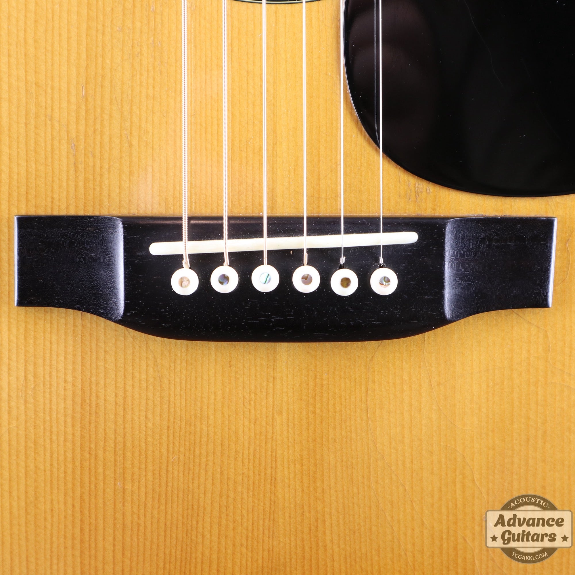 1975年製 D - 45 - TC楽器 - TCGAKKI