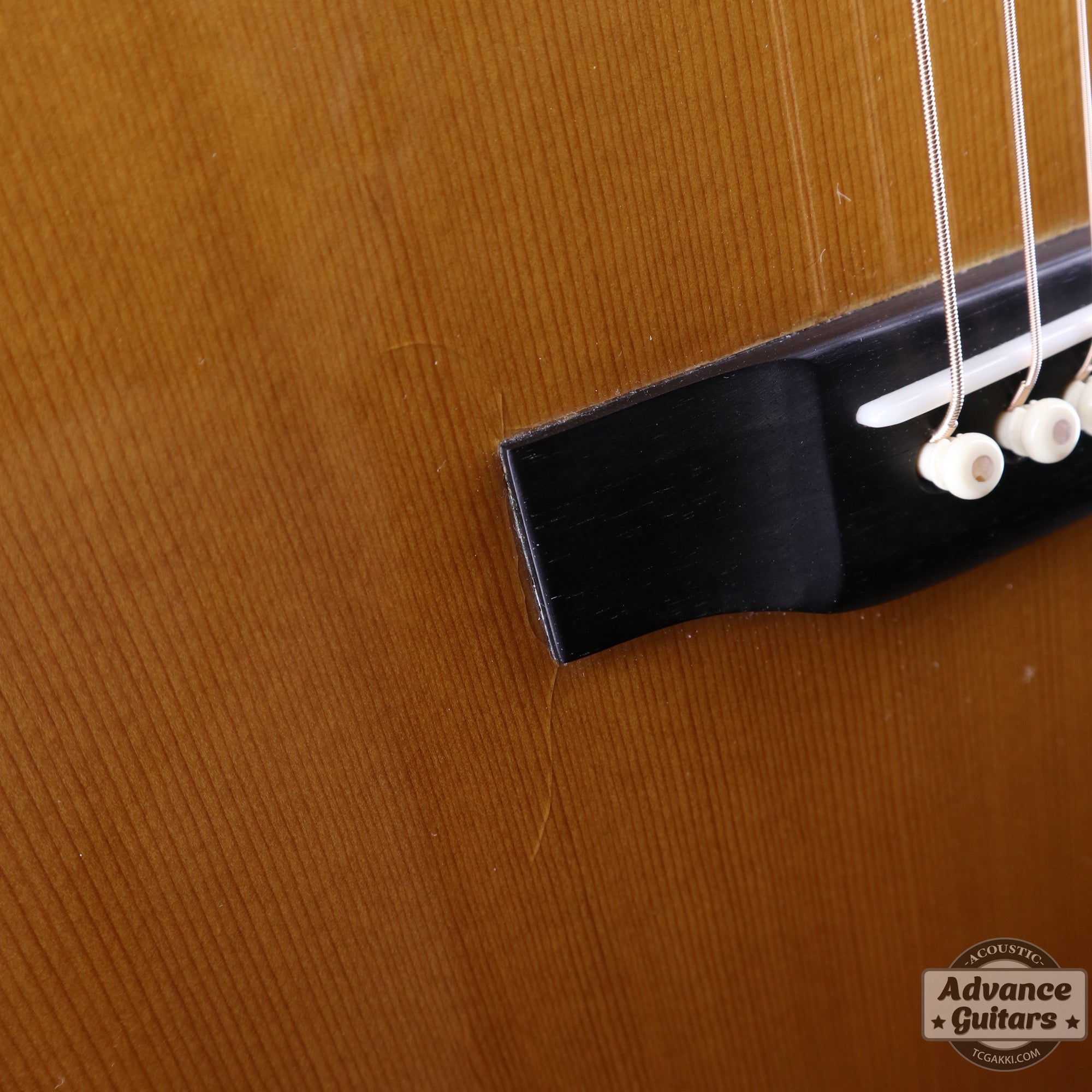 1975年製 D - 45 - TC楽器 - TCGAKKI