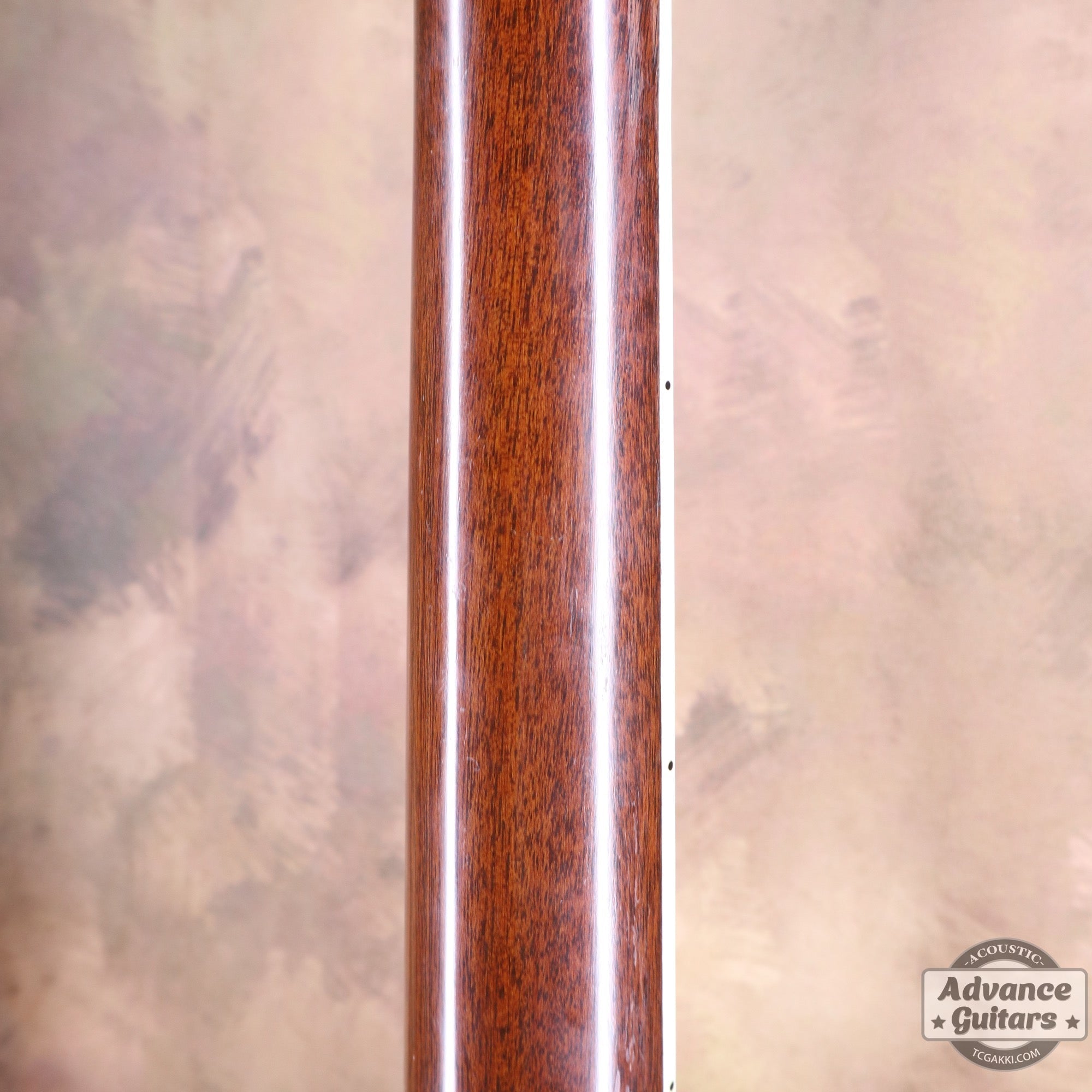 1975年製 D - 45 - TC楽器 - TCGAKKI