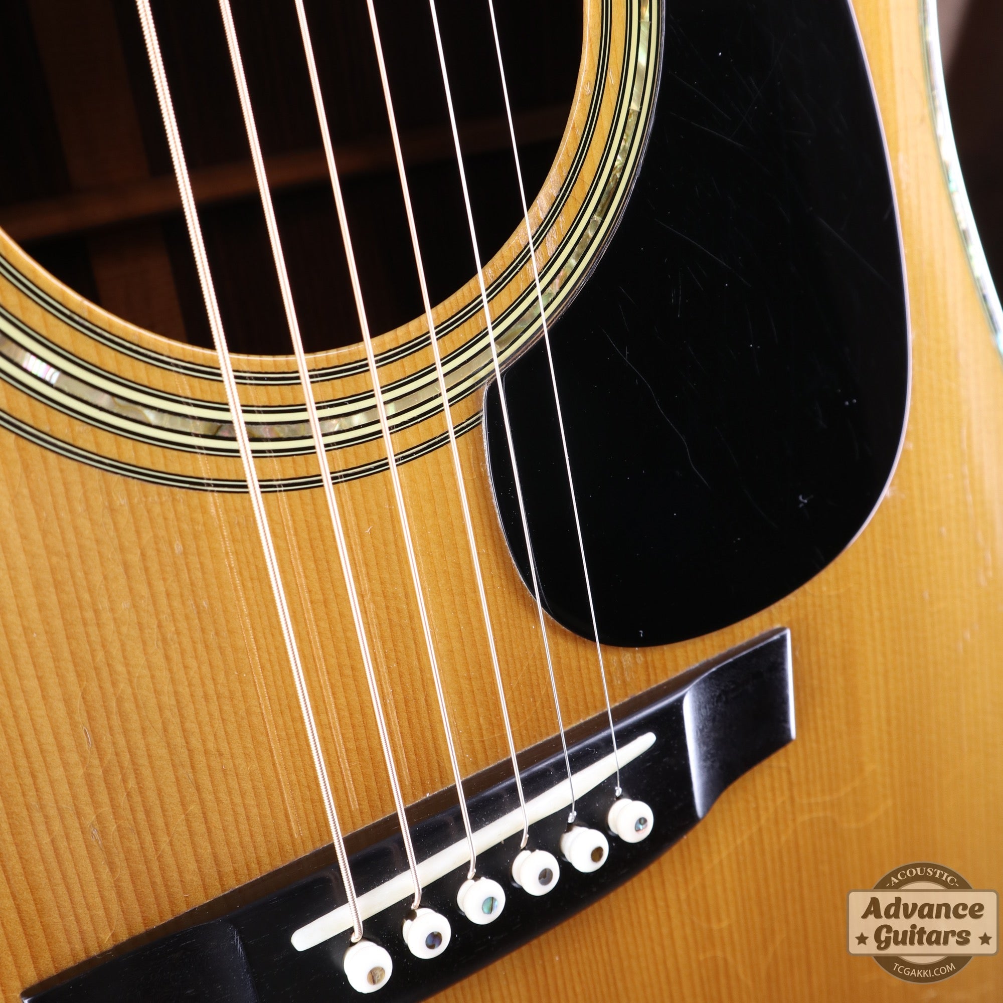 1975年製 D - 45 - TC楽器 - TCGAKKI