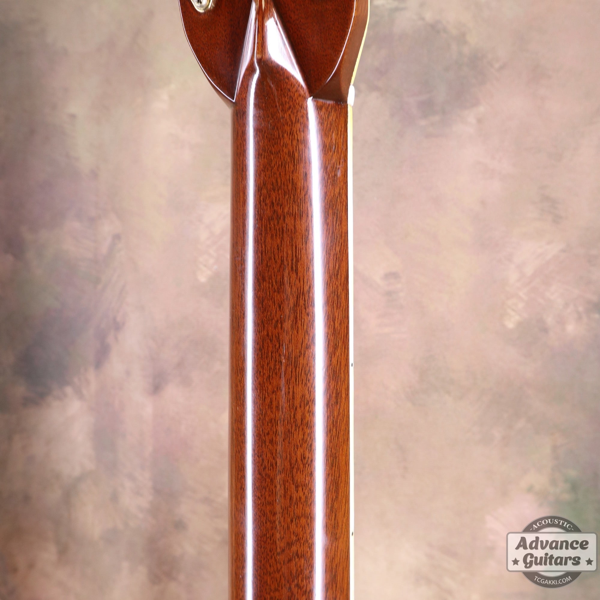 1975年製 D - 45 - TC楽器 - TCGAKKI