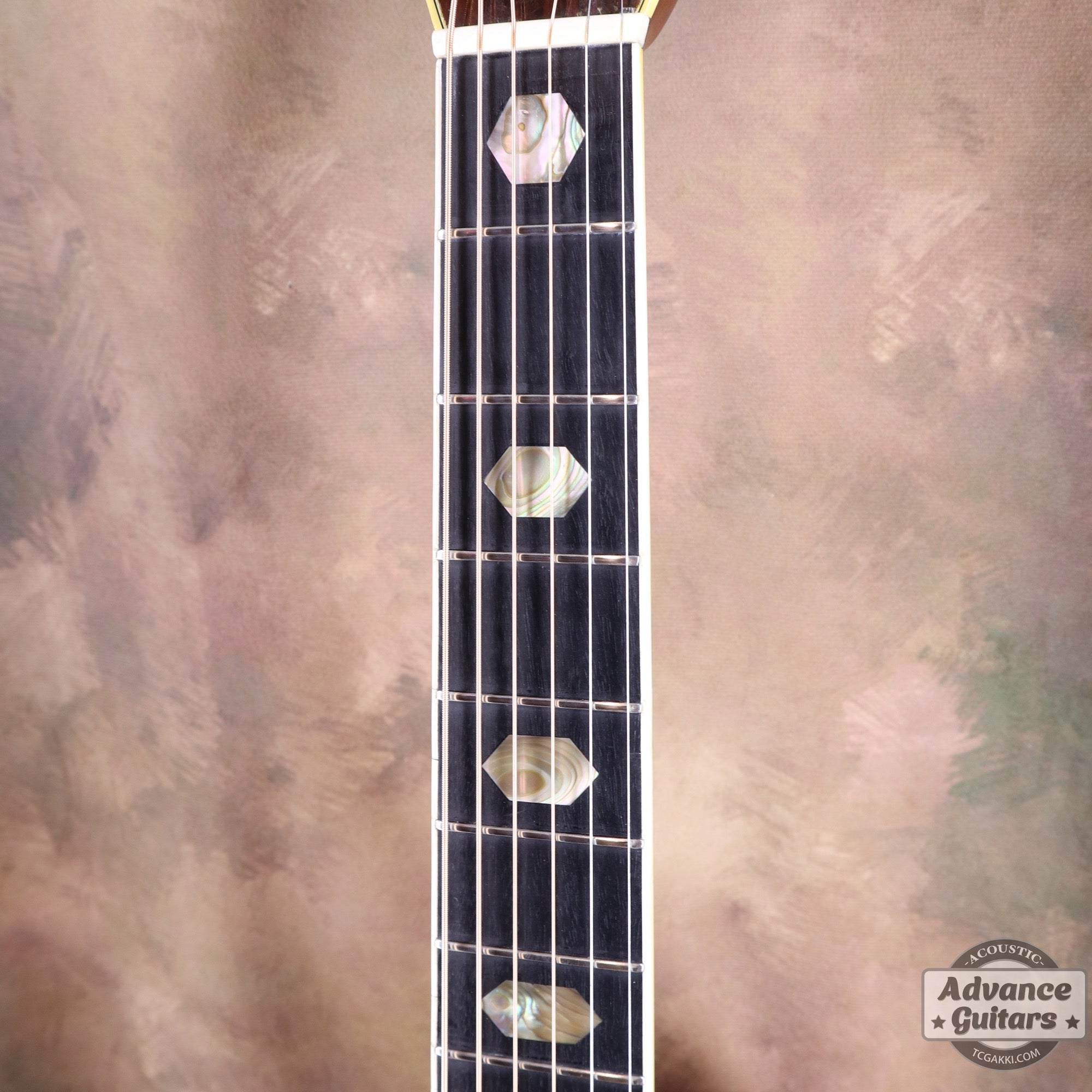 1975年製 D - 45 - TC楽器 - TCGAKKI