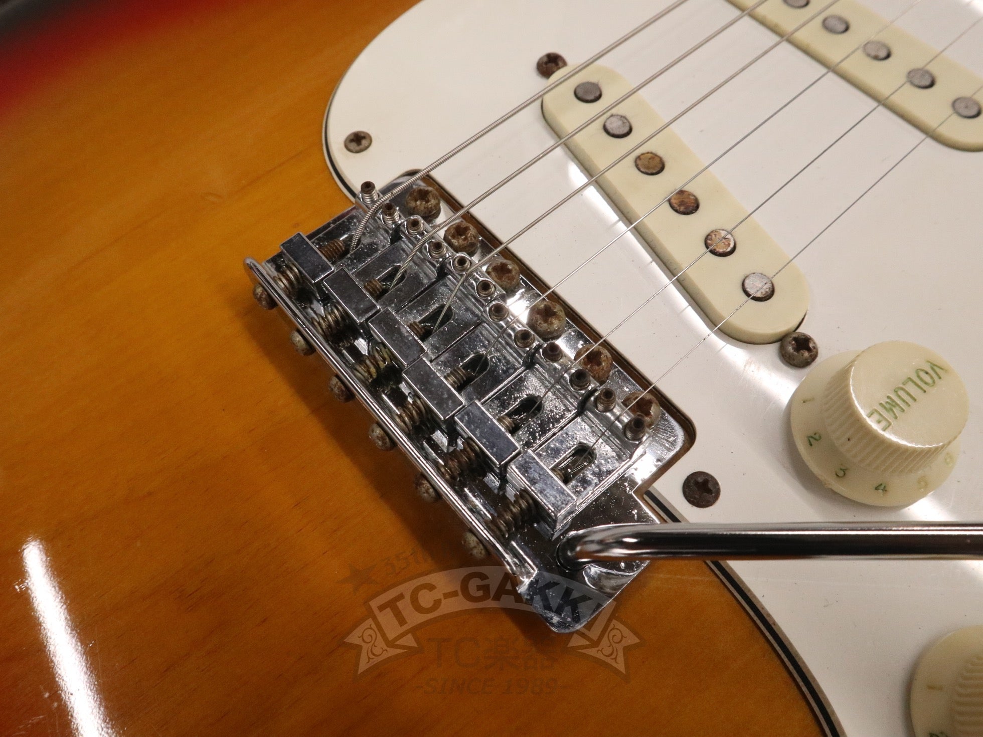 1975 STRATOCASTER Alder / Maple - TC楽器 - TCGAKKI