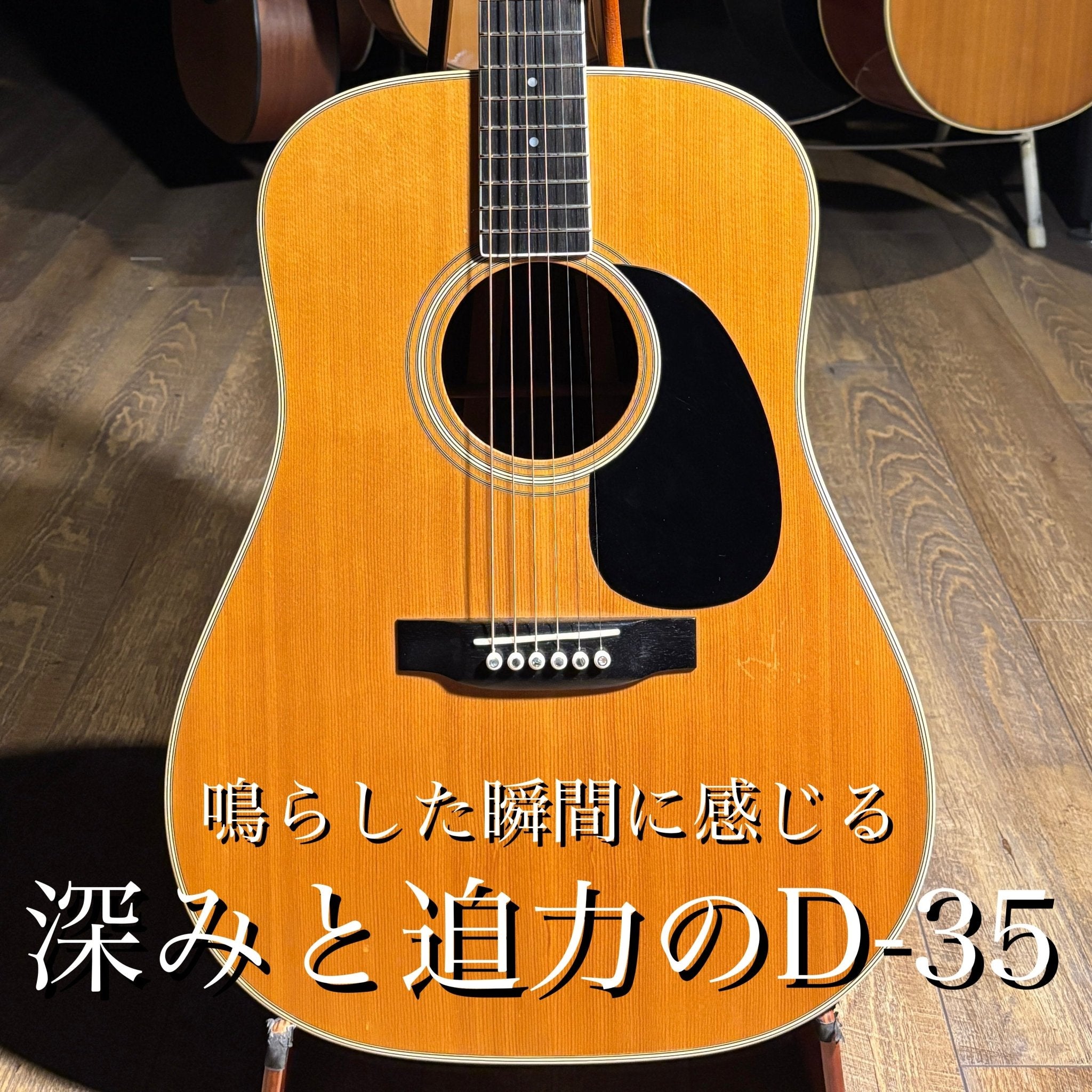 1976年製 D - 35 - TC楽器 - TCGAKKI