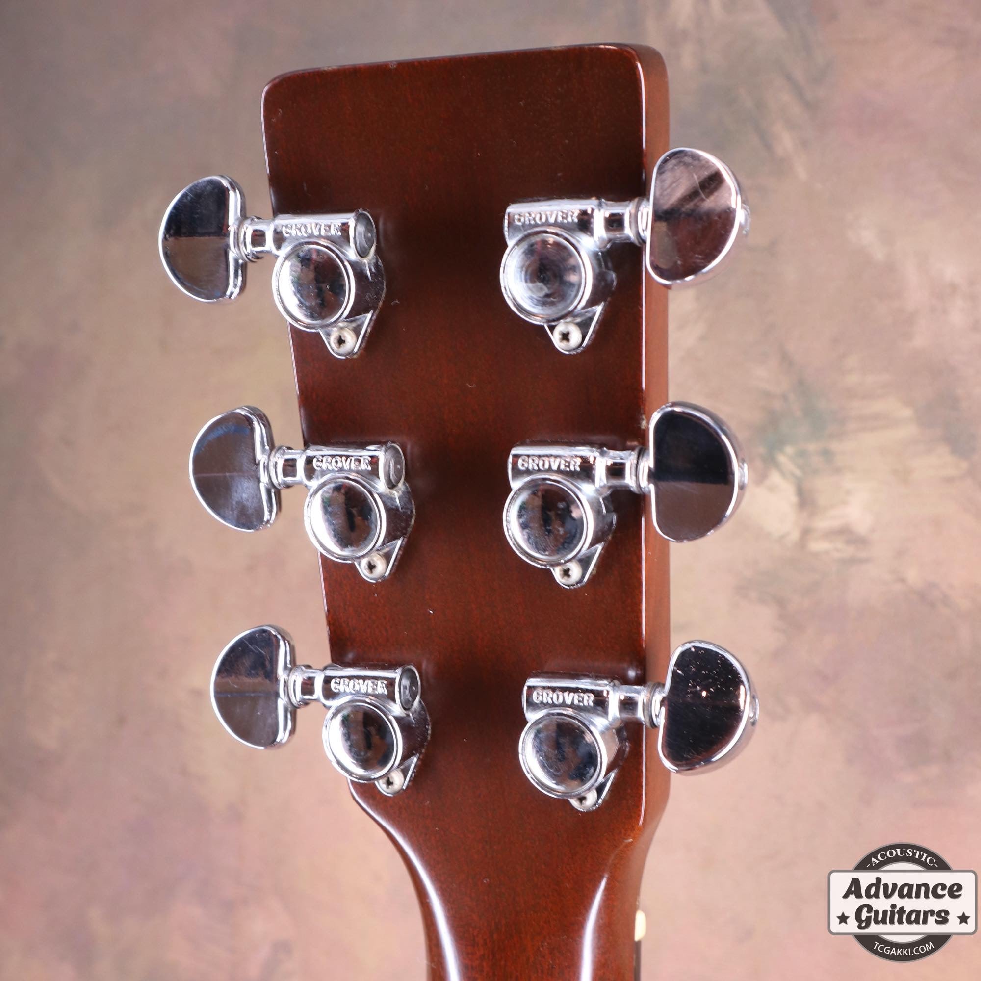 1976年製 D - 76 - TC楽器 - TCGAKKI