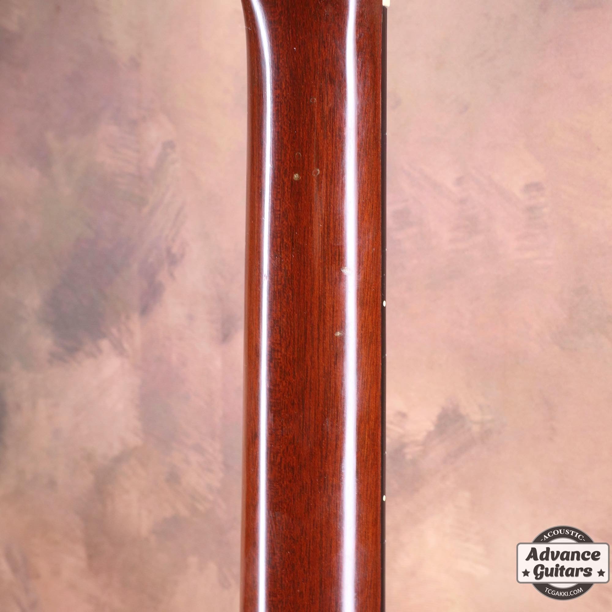 1976年製 D - 76 - TC楽器 - TCGAKKI