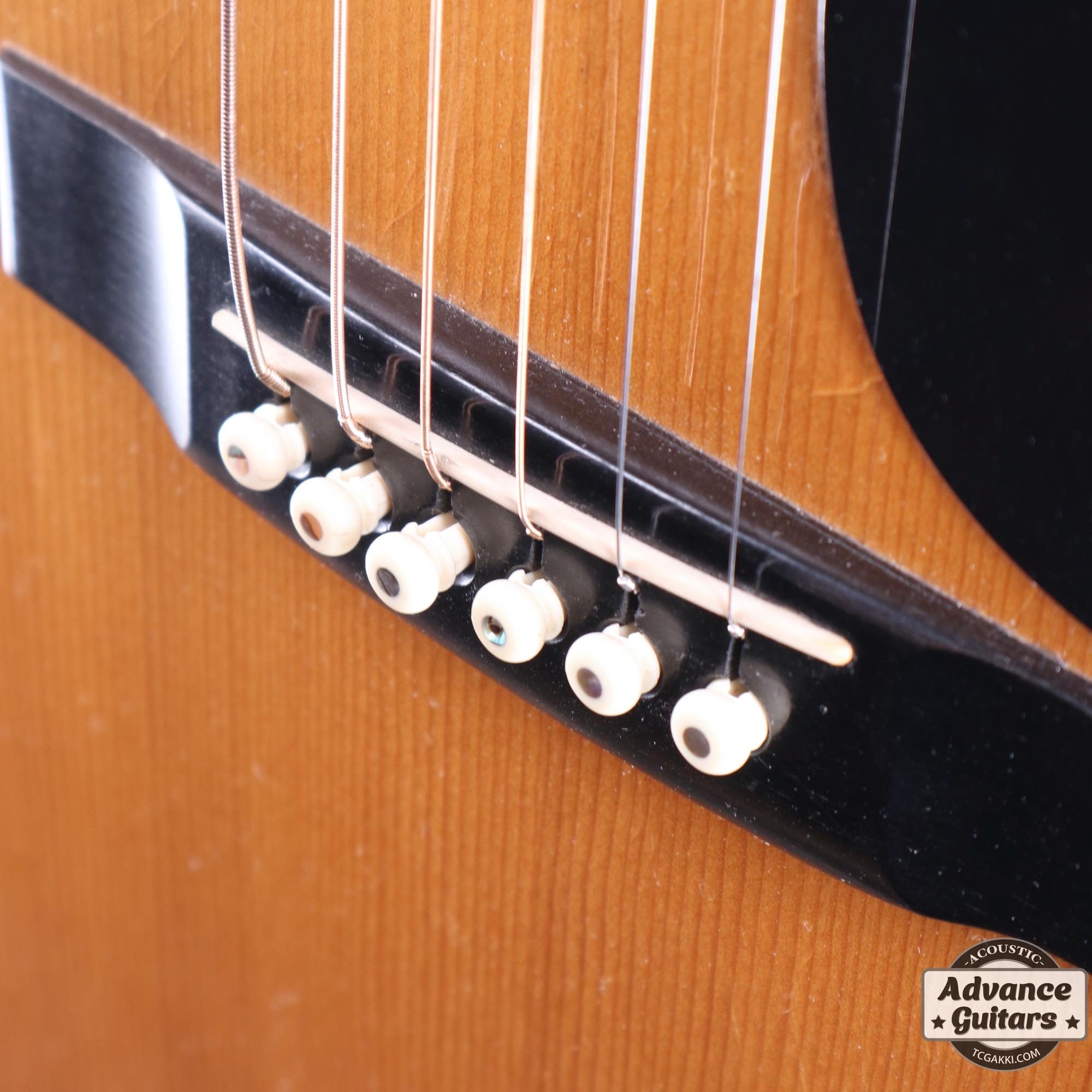 1976年製 D - 76 - TC楽器 - TCGAKKI