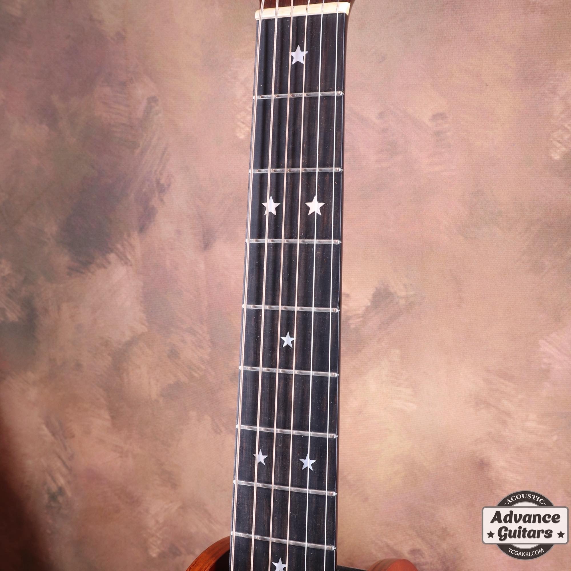 1976年製 D - 76 - TC楽器 - TCGAKKI