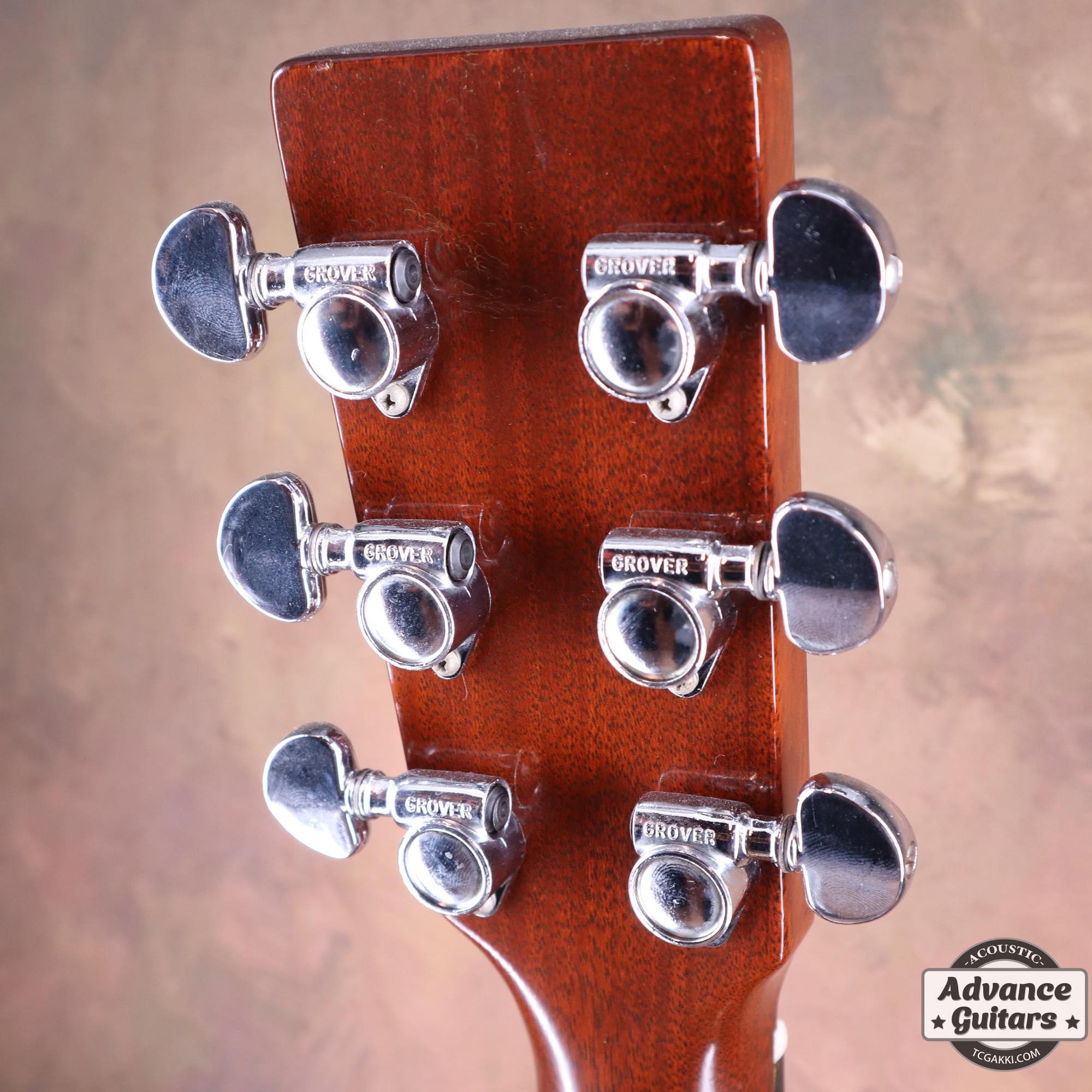 1976年製 D - 76 “Bicentennial Commemorative Limited Edition” - TC楽器 - TCGAKKI