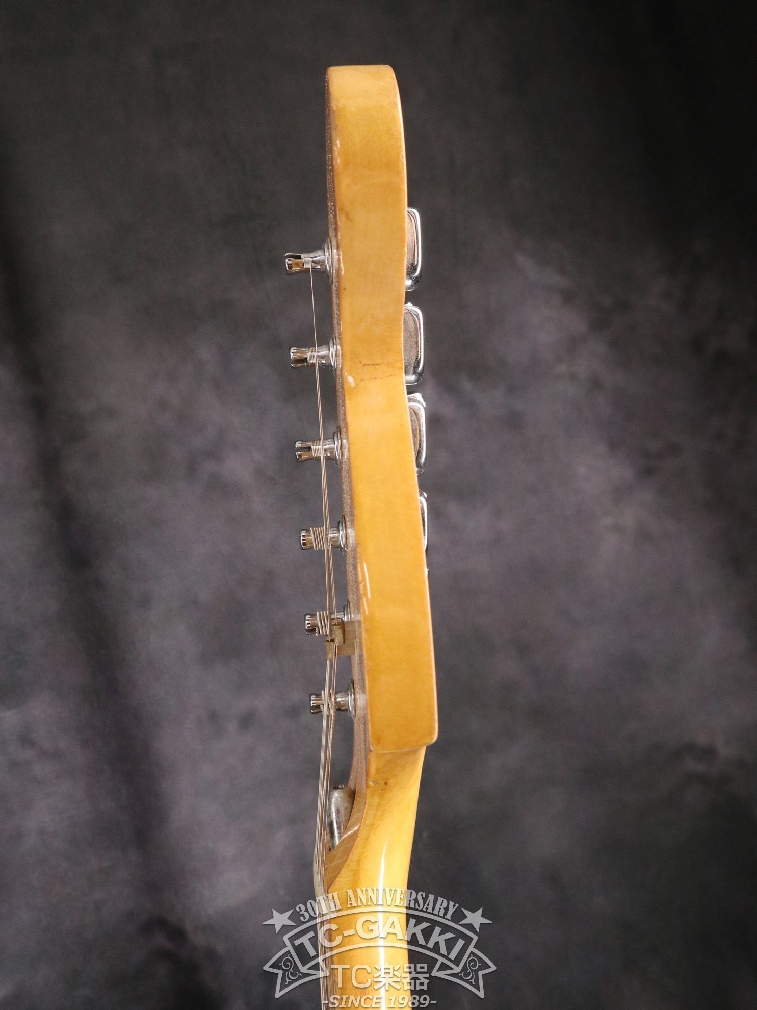 1976 Stratocaster - TC楽器 - TCGAKKI