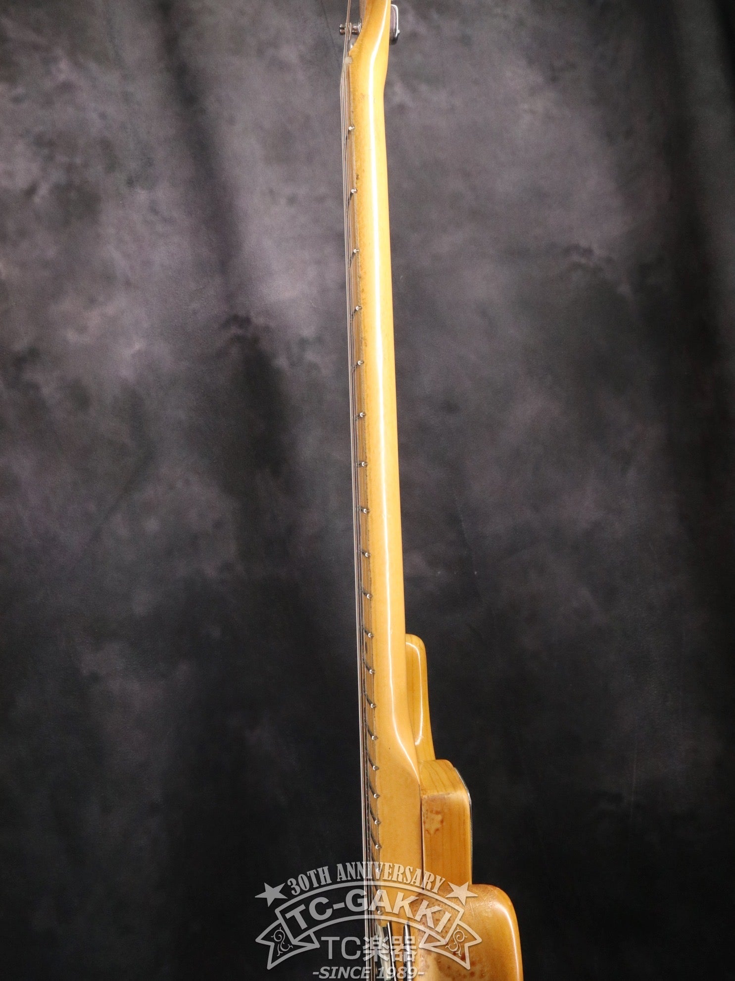 1976 Stratocaster - TC楽器 - TCGAKKI