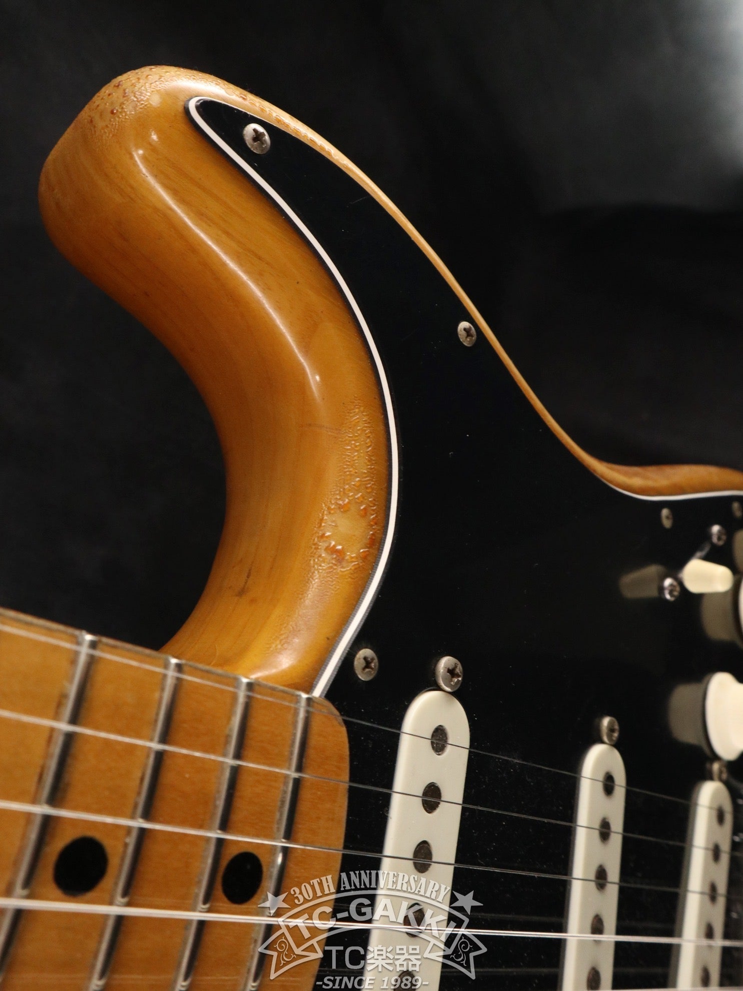 1976 Stratocaster - TC楽器 - TCGAKKI