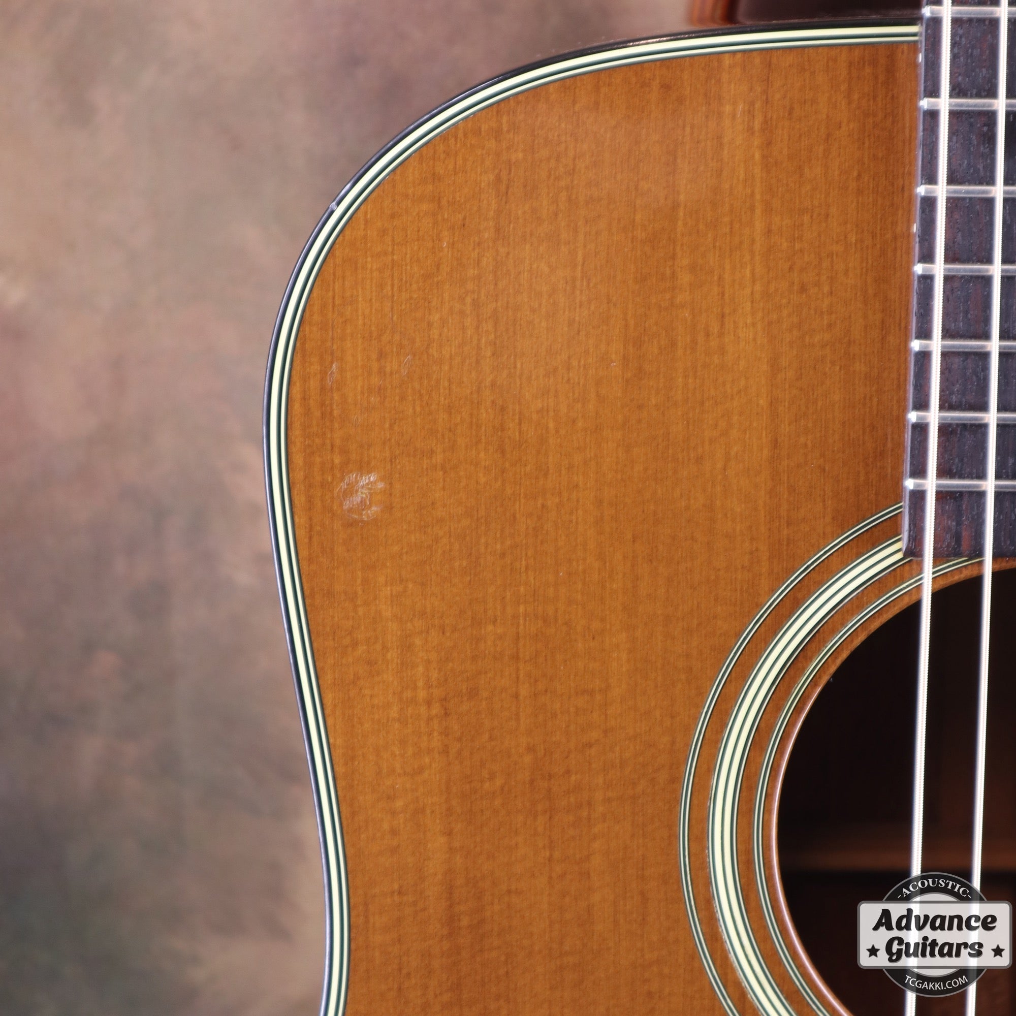 1977年製 D - 19 - TC楽器 - TCGAKKI