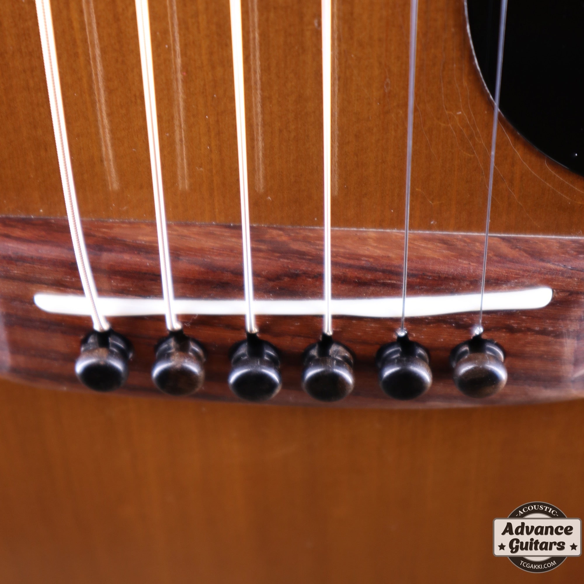 1977年製 D - 19 - TC楽器 - TCGAKKI