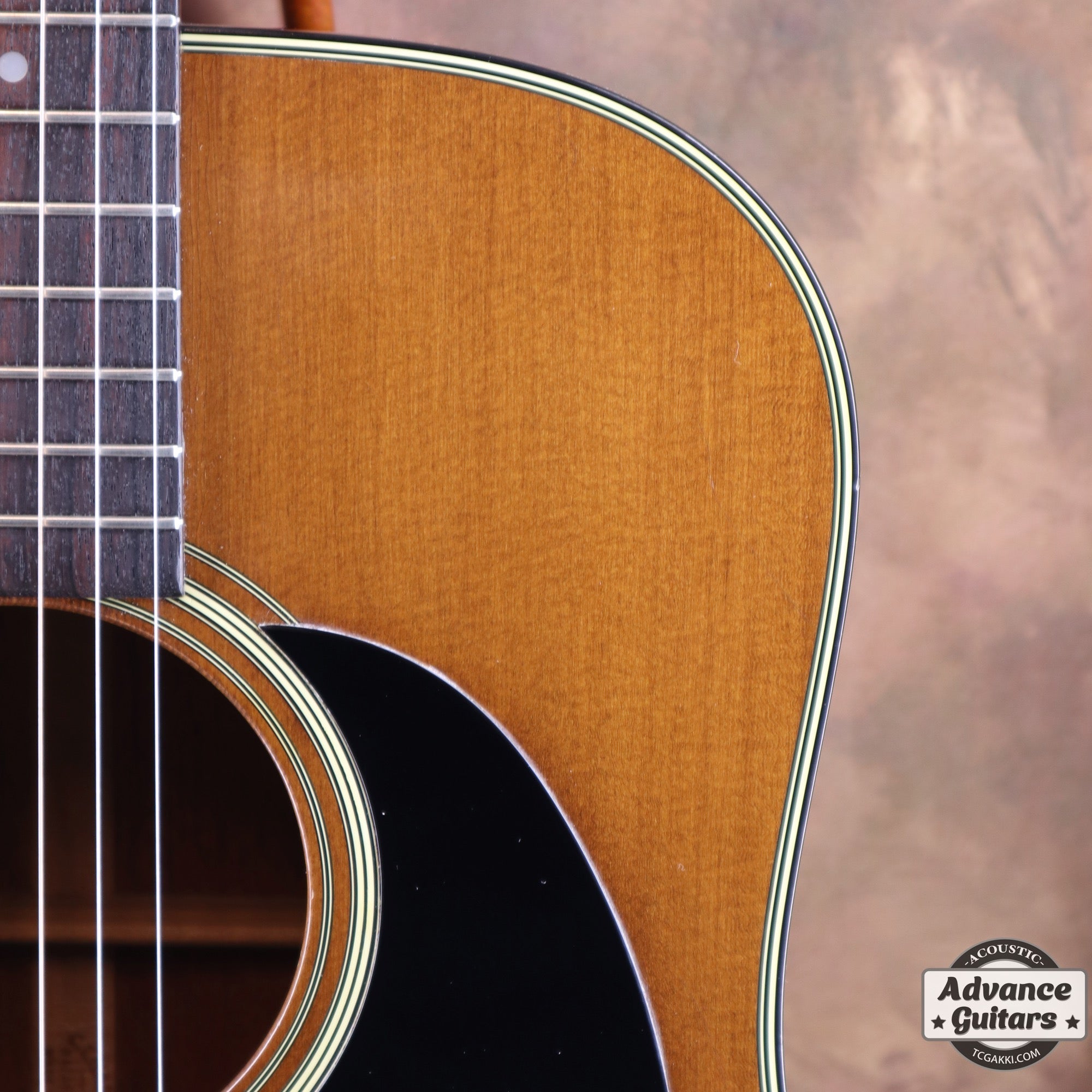 1977年製 D - 19 - TC楽器 - TCGAKKI