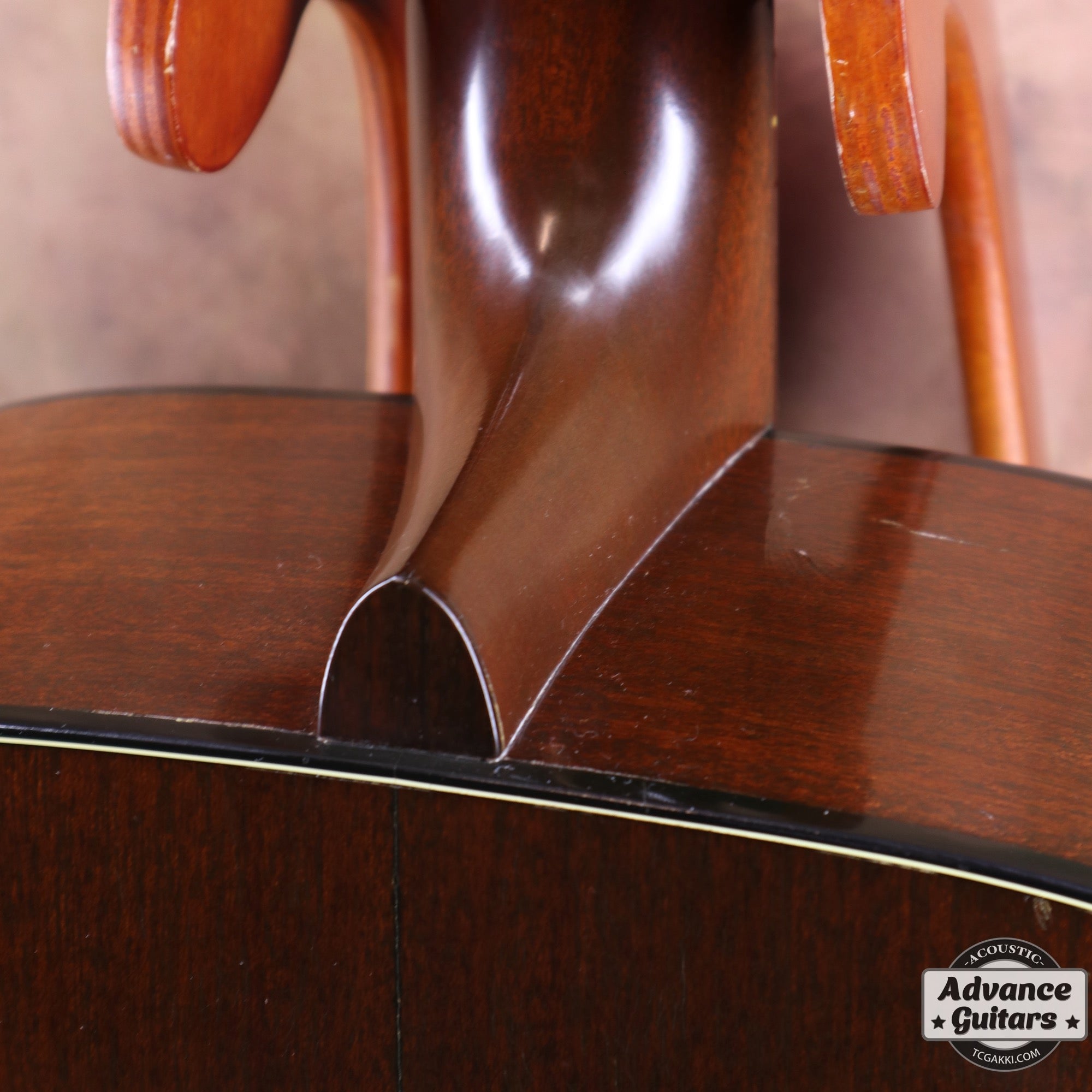 1977年製 D - 19 - TC楽器 - TCGAKKI