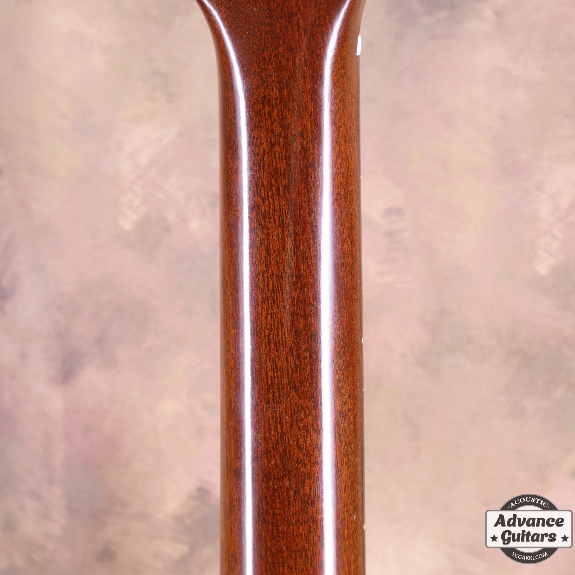 1977年製 D - 19 - TC楽器 - TCGAKKI