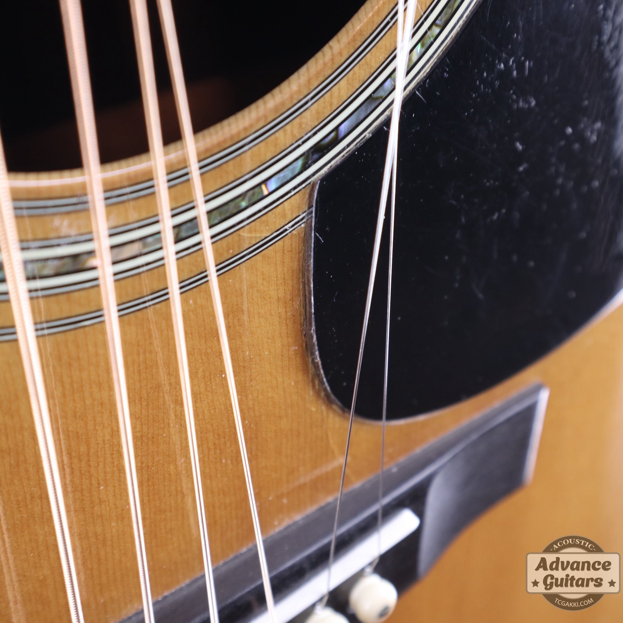 1977年製 D - 45 - TC楽器 - TCGAKKI