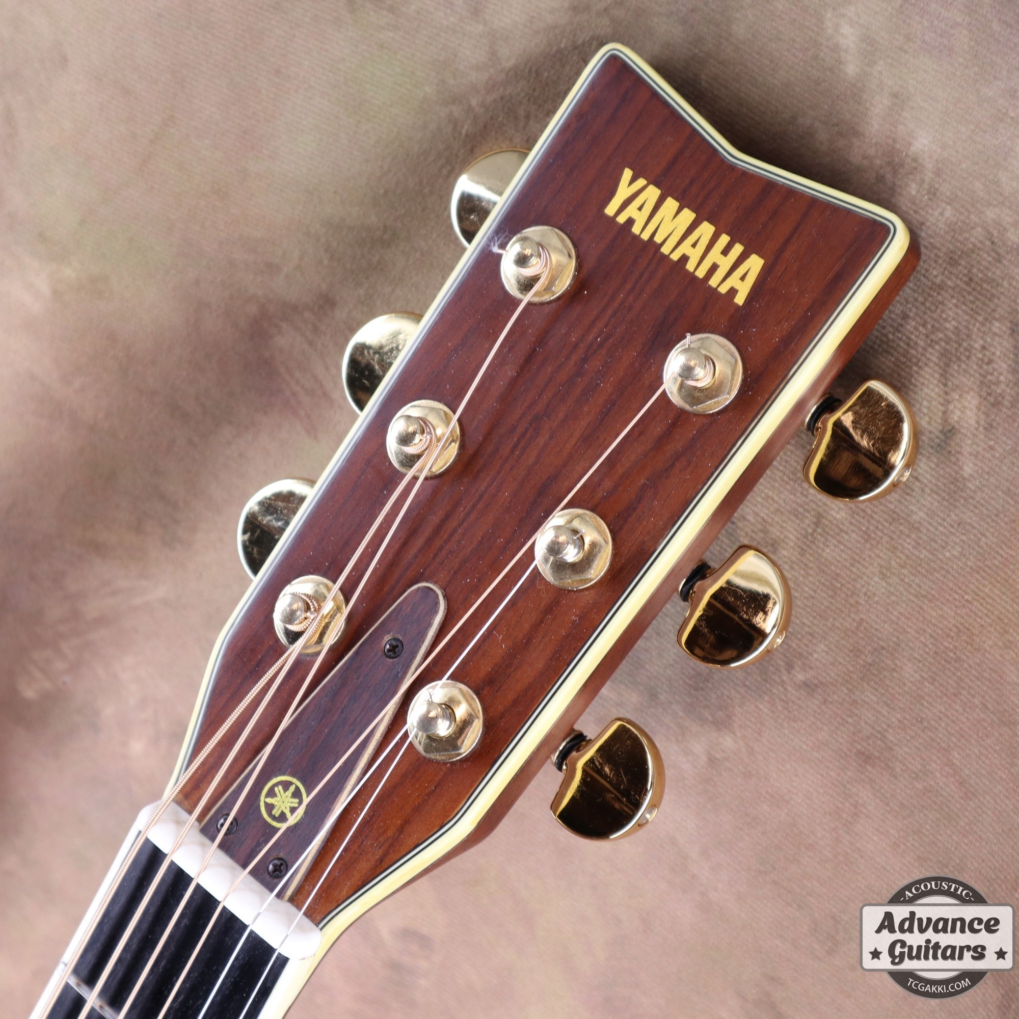 1977年製 L - 5 前期型 - TC楽器 - TCGAKKI