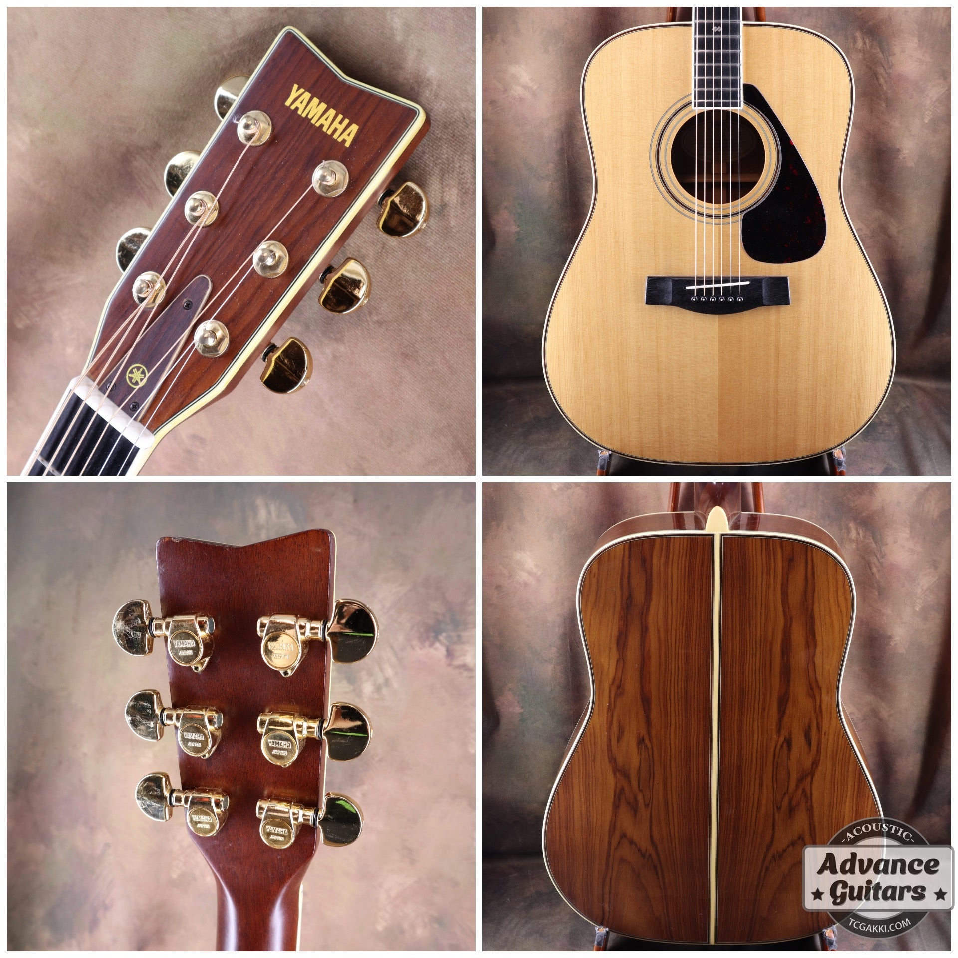 1977年製 L - 5 前期型 - TC楽器 - TCGAKKI