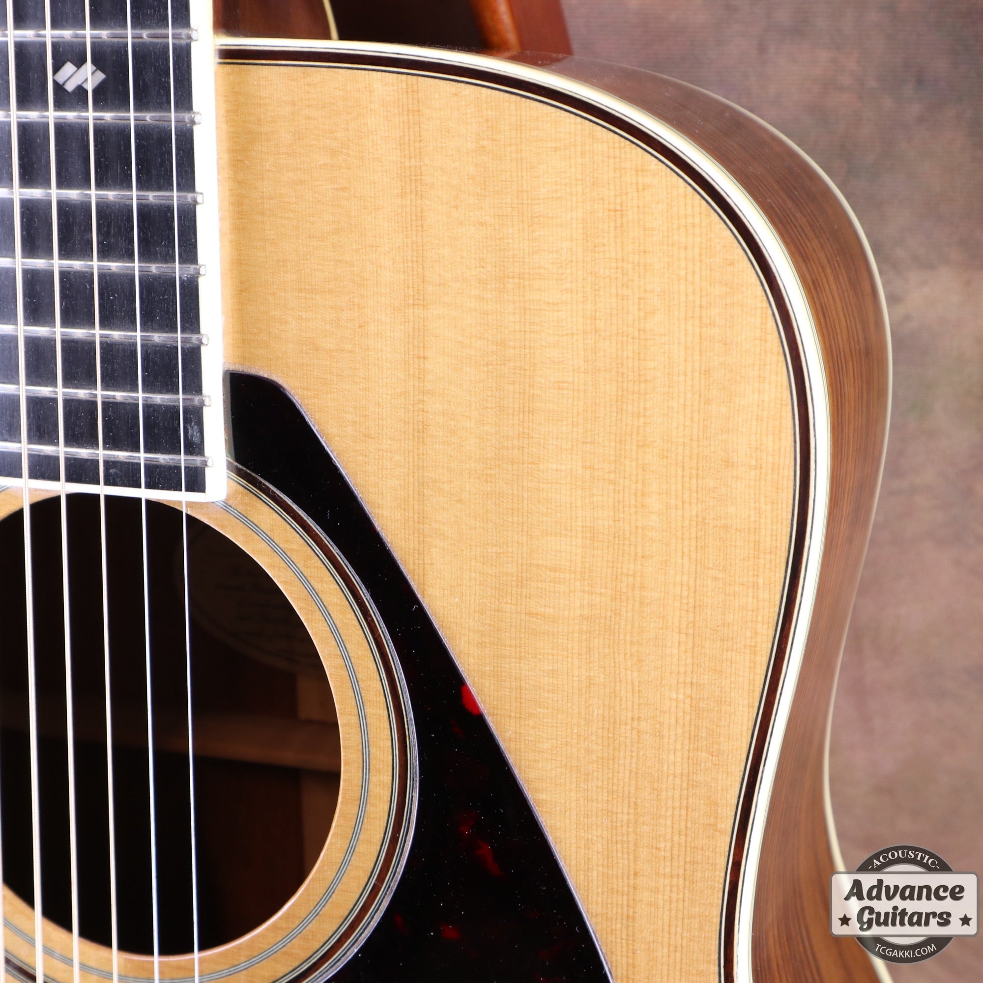 1977年製 L - 5 前期型 - TC楽器 - TCGAKKI