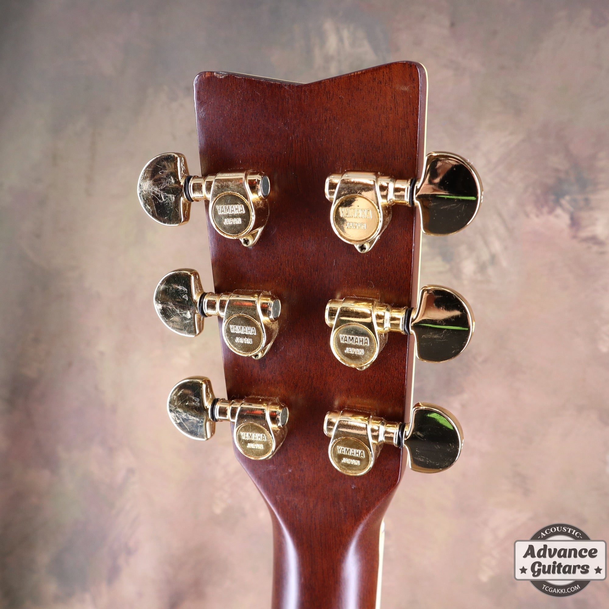 1977年製 L - 5 前期型 - TC楽器 - TCGAKKI