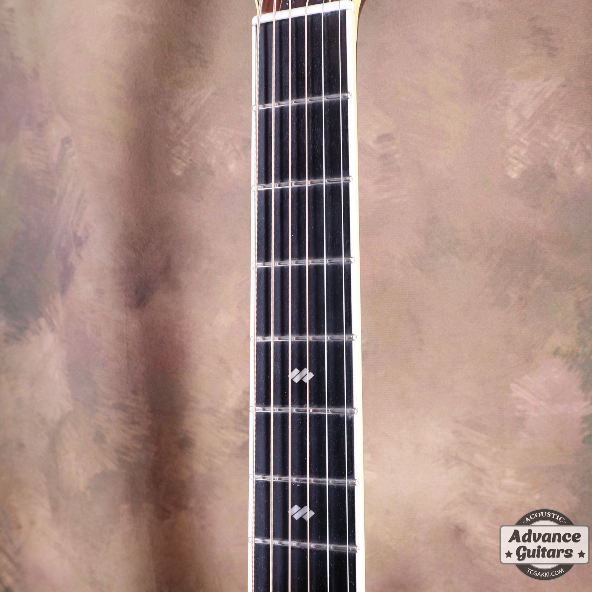 1977年製 L - 5 前期型 - TC楽器 - TCGAKKI