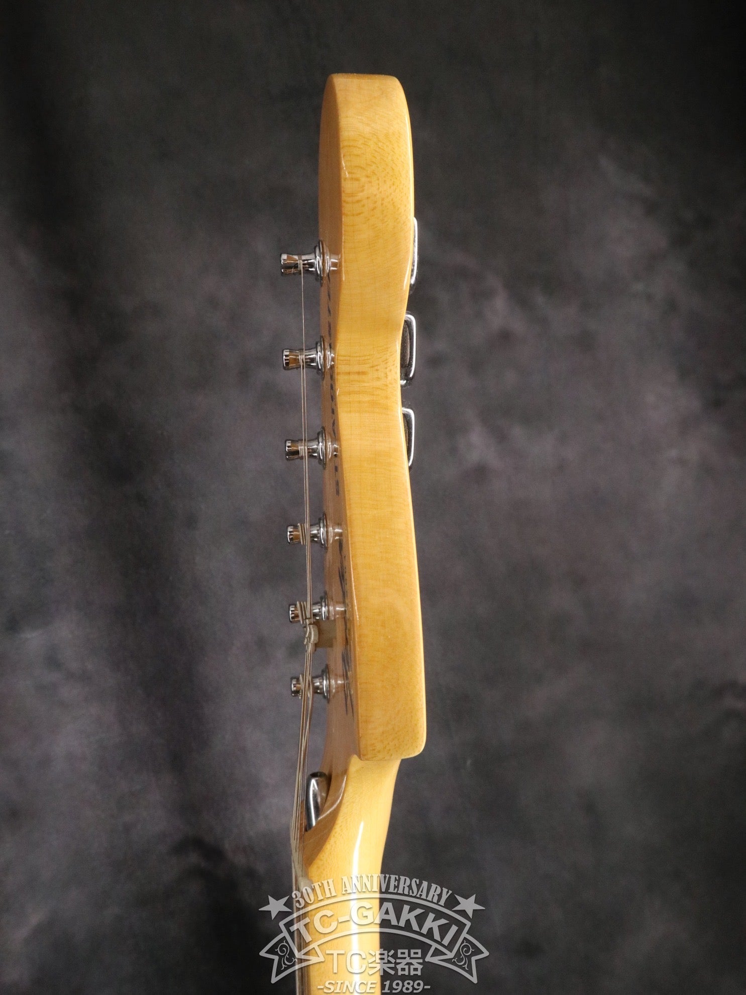 1977 STRATOCASTER - TC楽器 - TCGAKKI