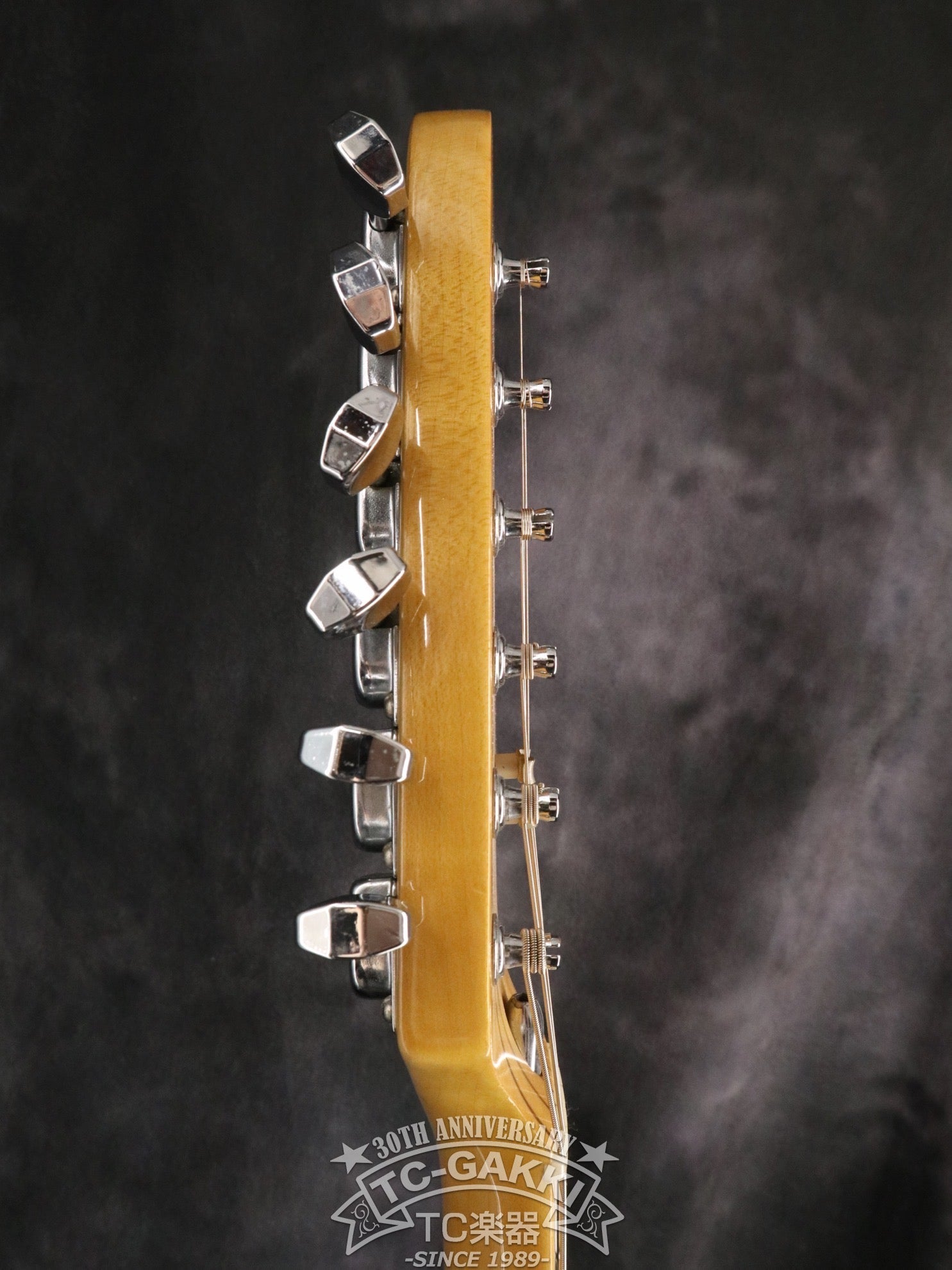 1977 STRATOCASTER - TC楽器 - TCGAKKI