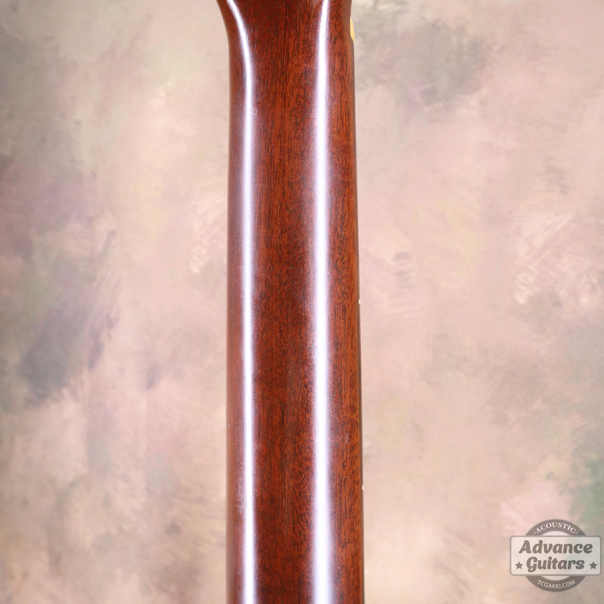 1979年製 D - 18 - TC楽器 - TCGAKKI