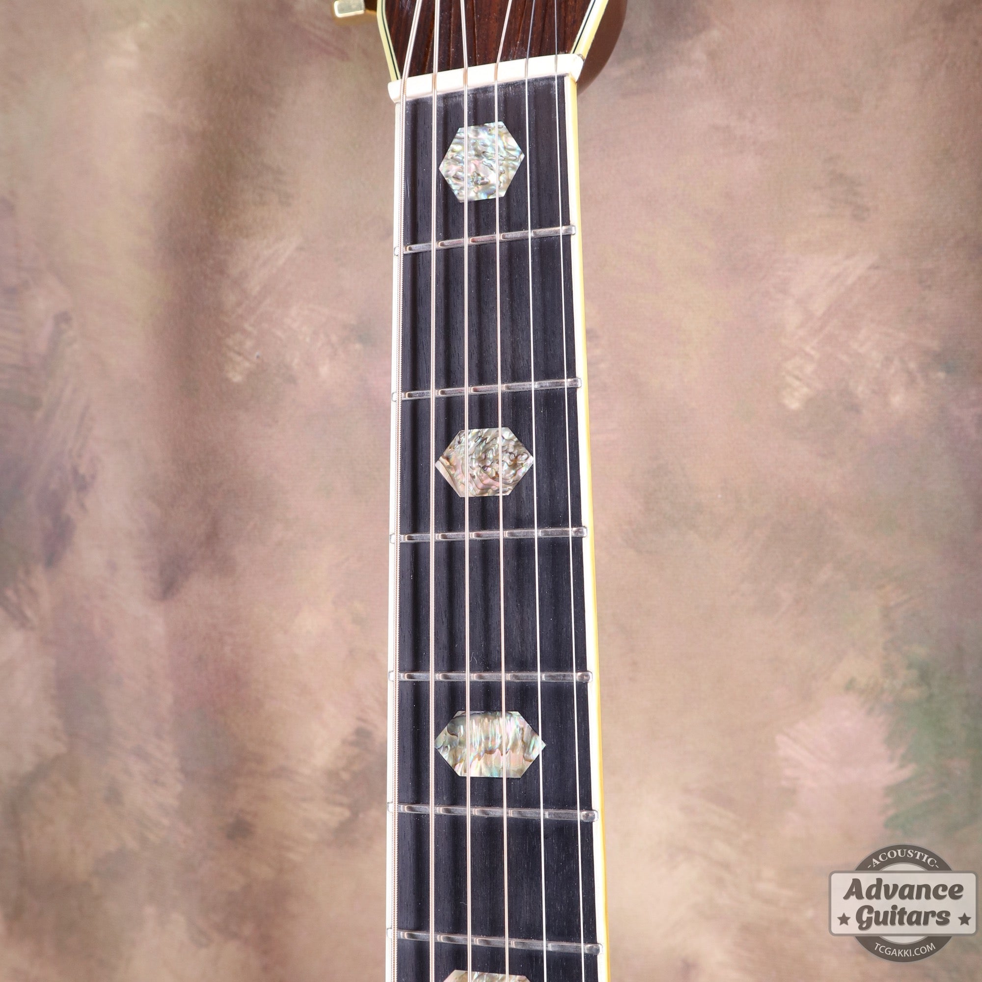 1979年製 D - 45 - TC楽器 - TCGAKKI