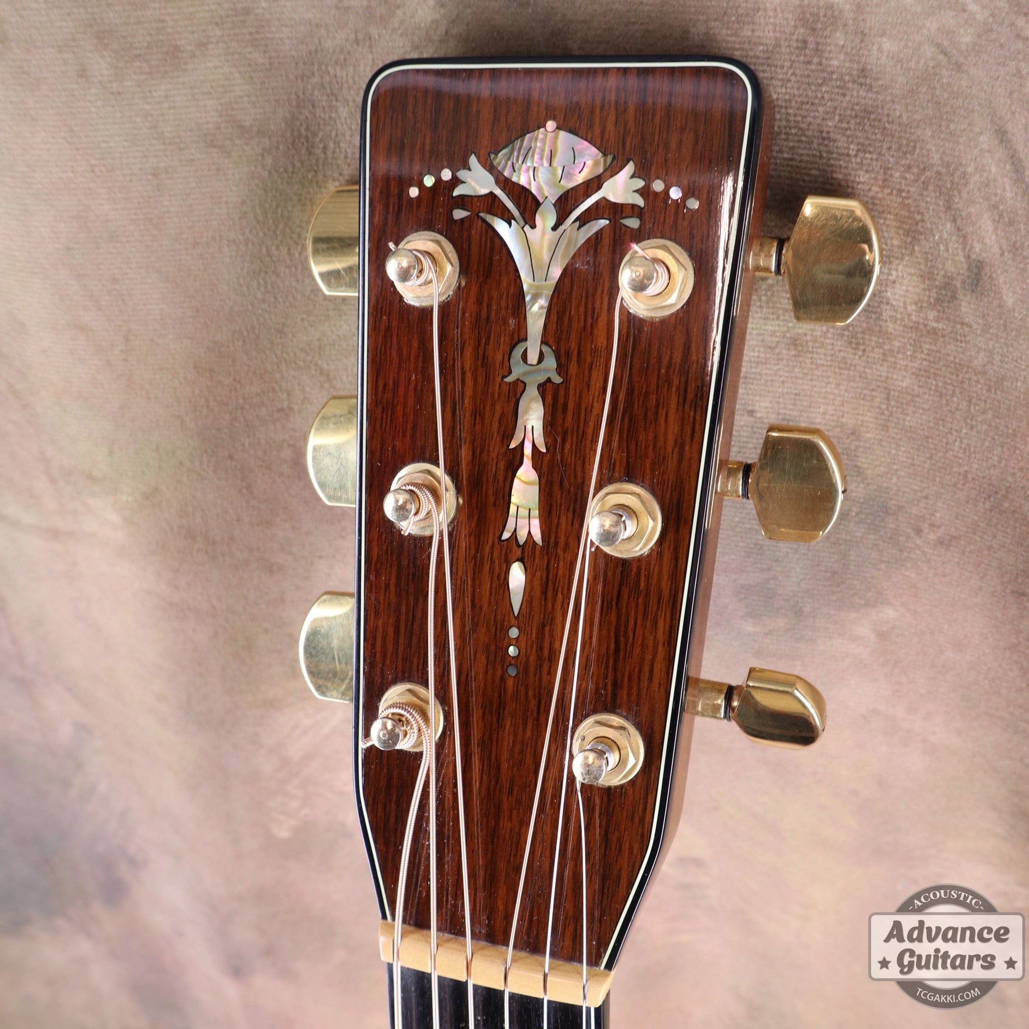 1979年製 Dreadnought Custom - TC楽器 - TCGAKKI