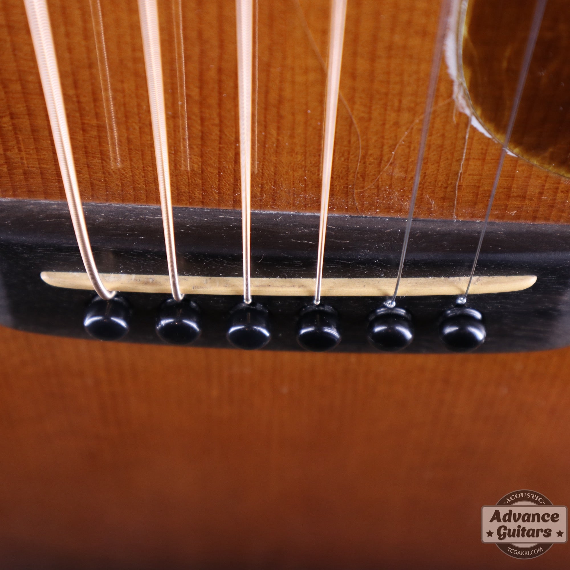 1979年製 Dreadnought Custom - TC楽器 - TCGAKKI