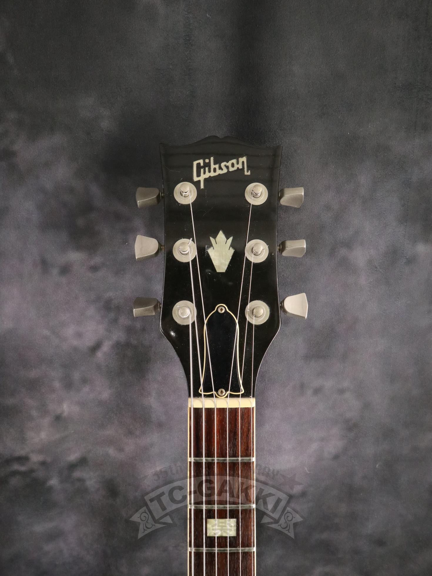 1979 ES - 335TD - TC楽器 - TCGAKKI