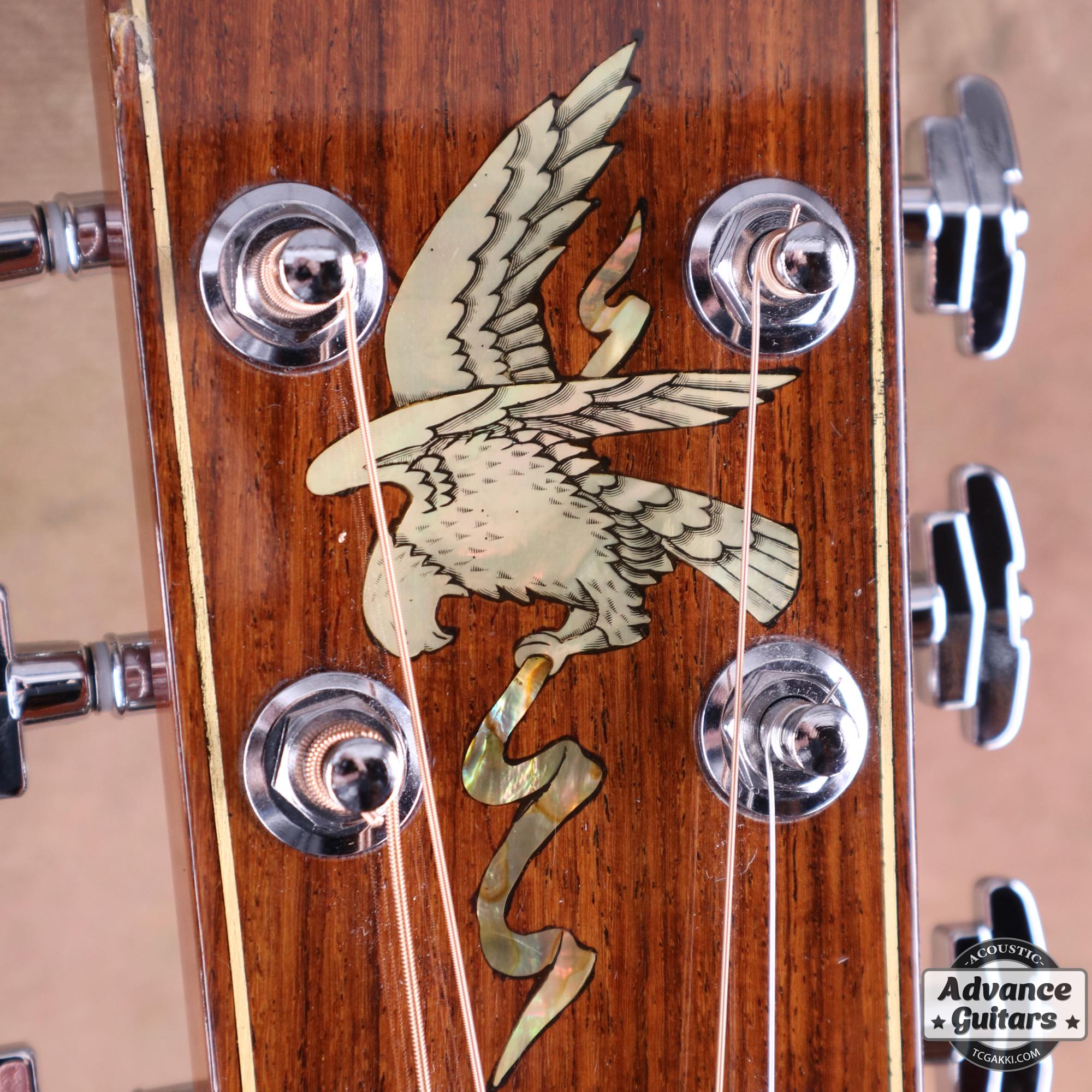 1979年製 L - 10 Deluxe “Eagle” - TC楽器 - TCGAKKI