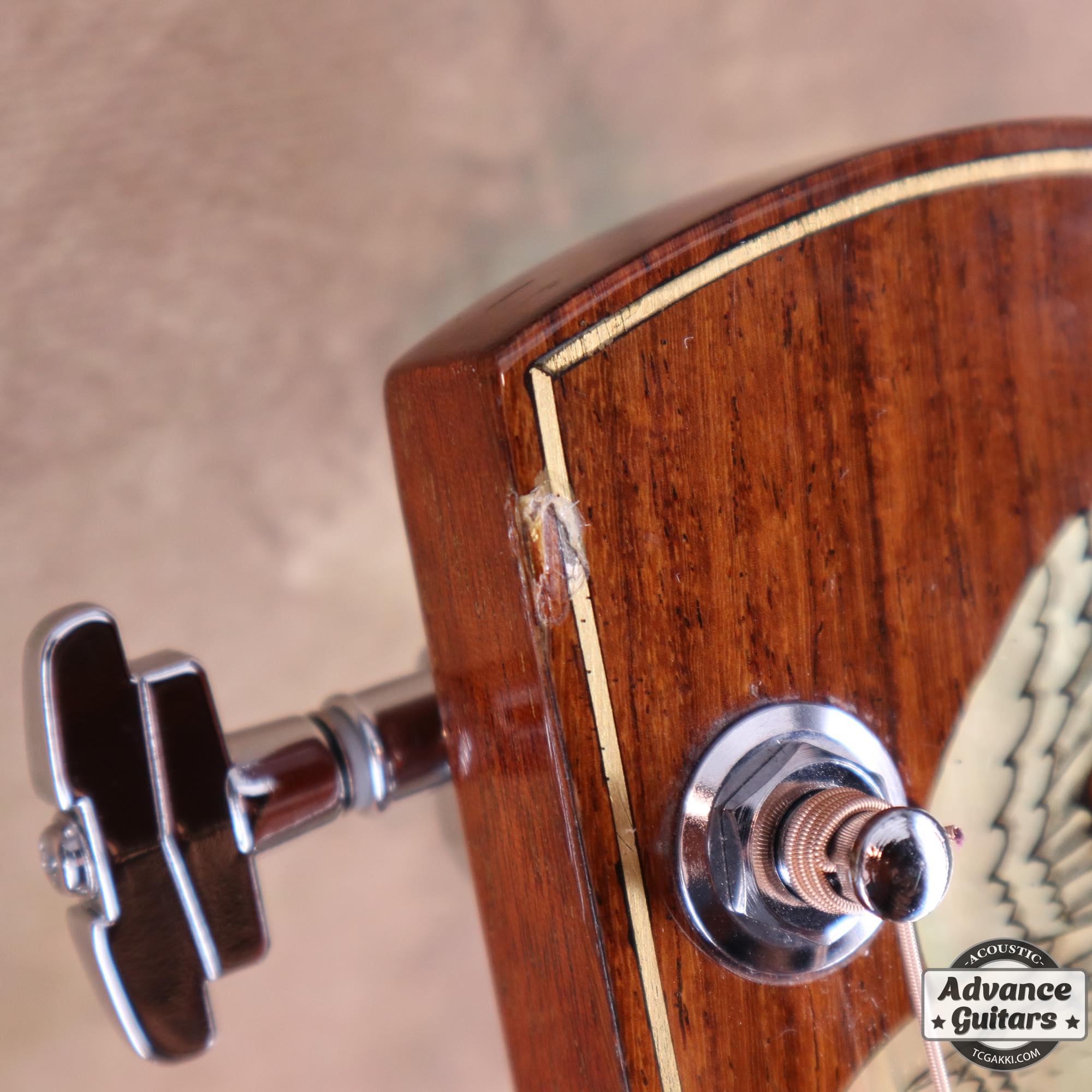 1979年製 L - 10 Deluxe “Eagle” - TC楽器 - TCGAKKI