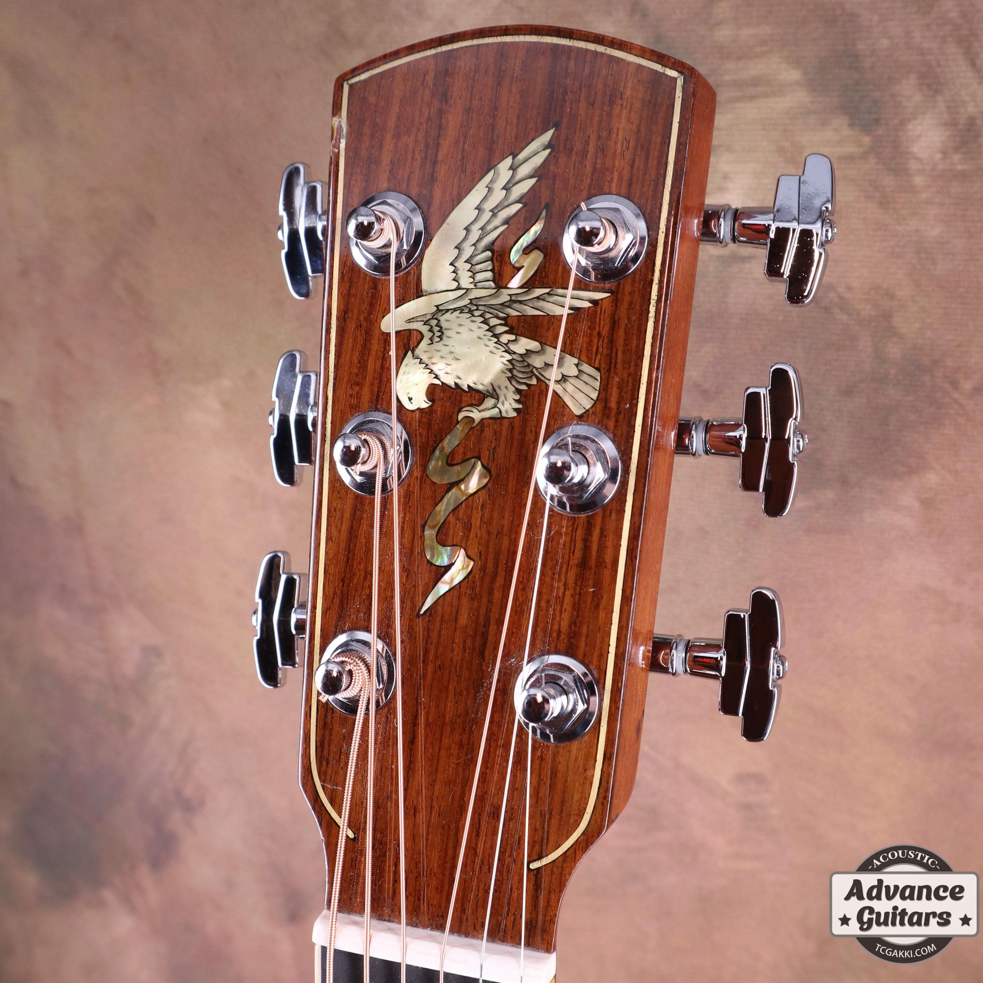 1979年製 L - 10 Deluxe “Eagle” - TC楽器 - TCGAKKI