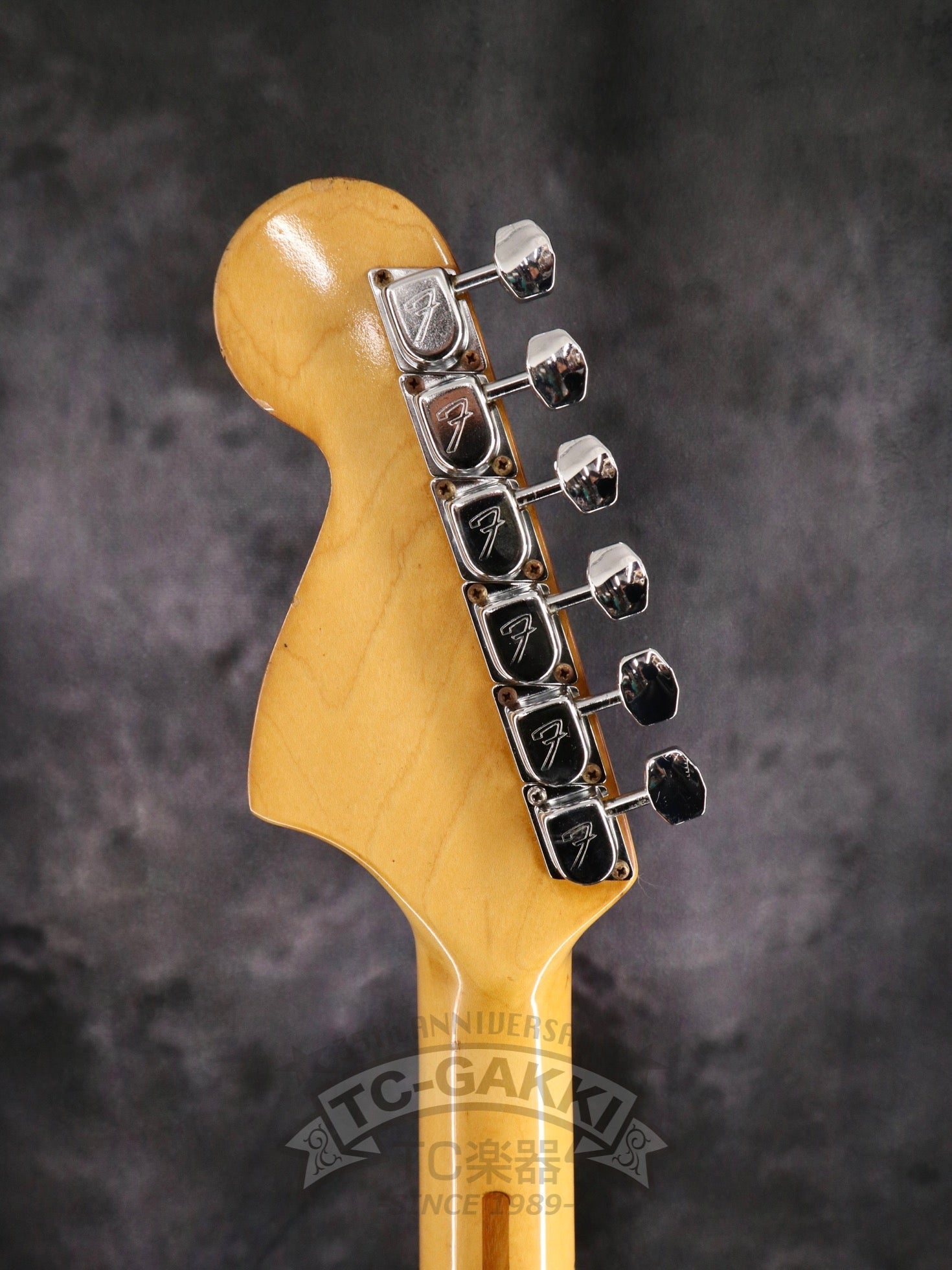 1979 STRATOCASTER Antigua - TC楽器 - TCGAKKI