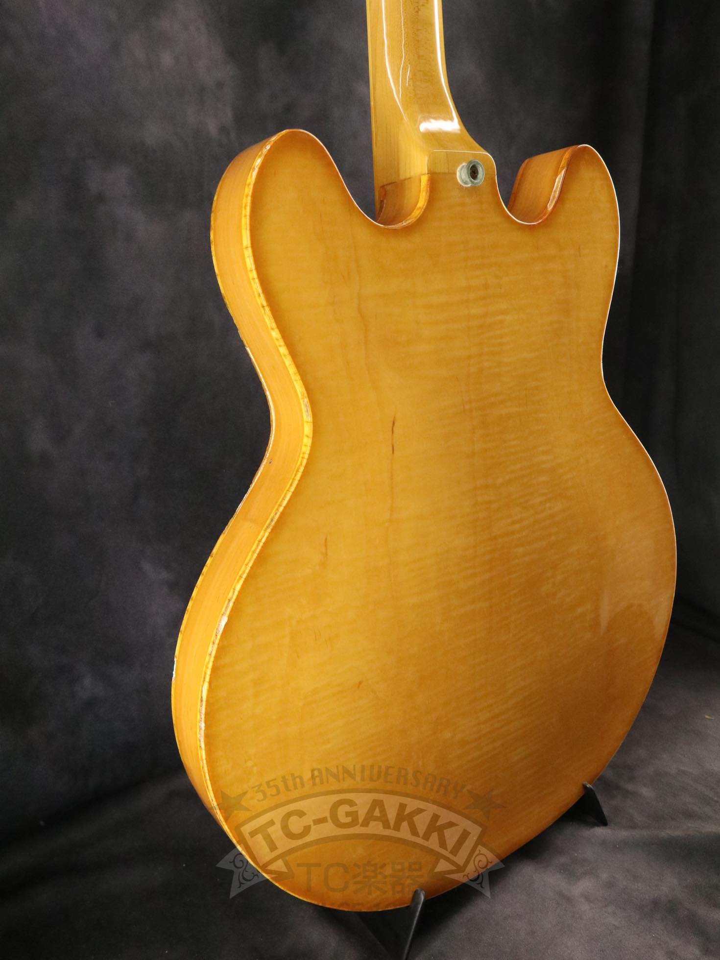 1980 Casino - TC楽器 - TCGAKKI