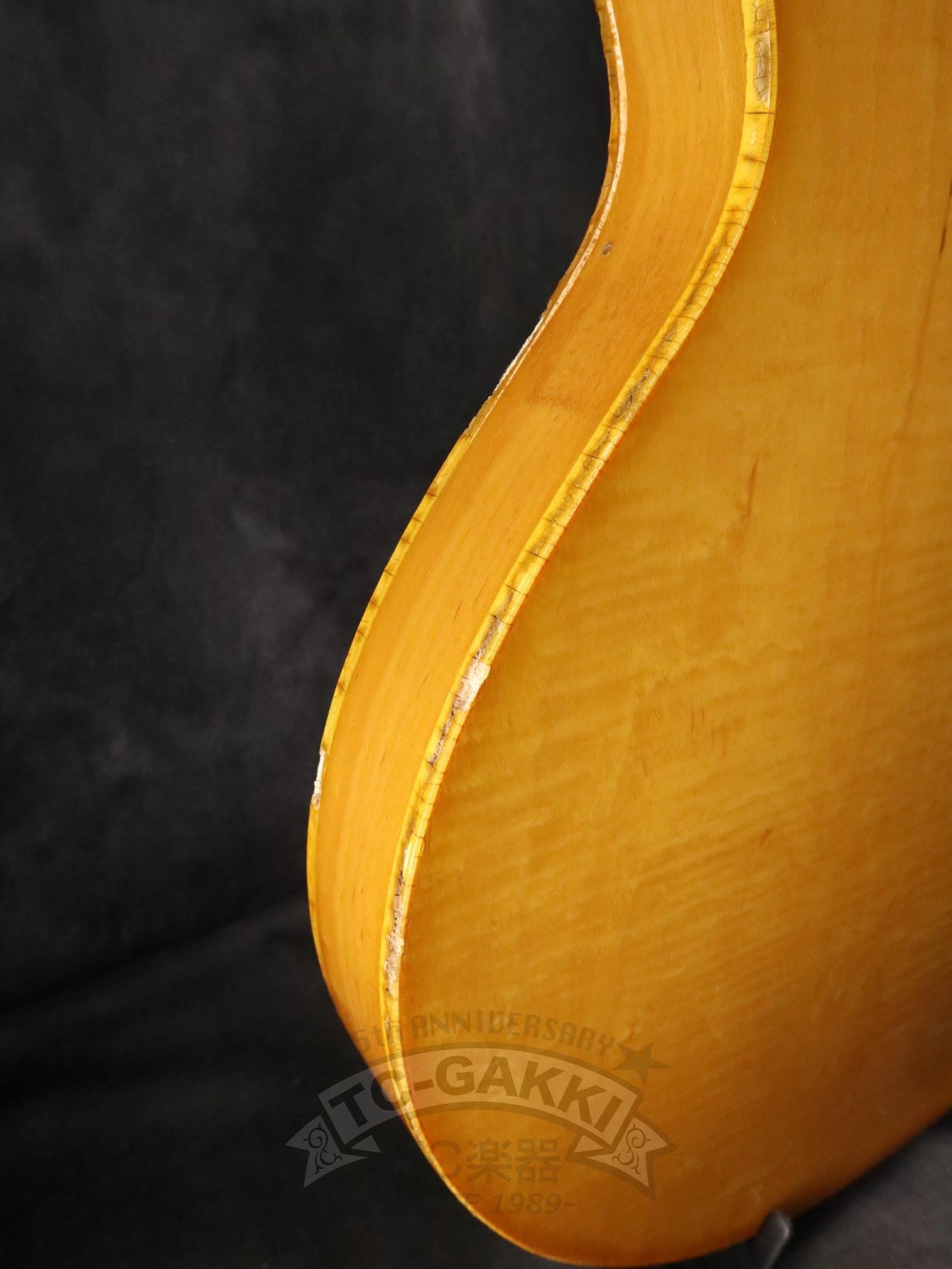 1980 Casino - TC楽器 - TCGAKKI