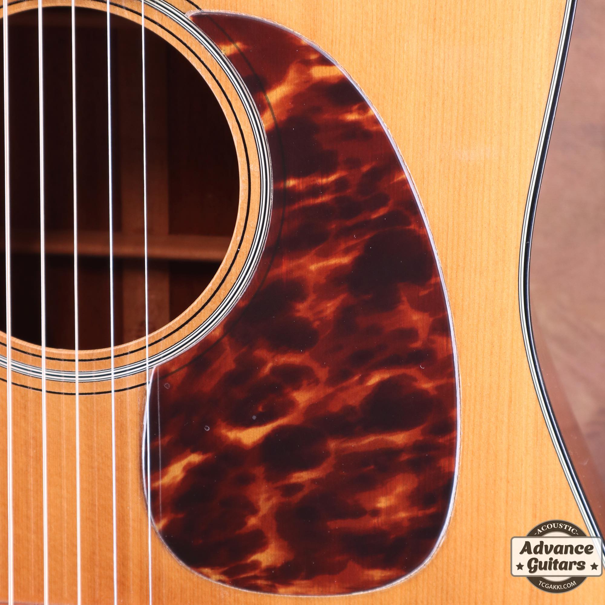 1980年製 D - 18 - TC楽器 - TCGAKKI