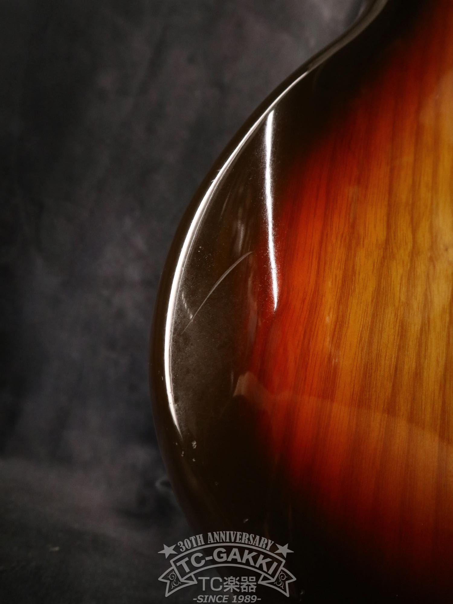 1980 Precision Bass Fretless - TC楽器 - TCGAKKI