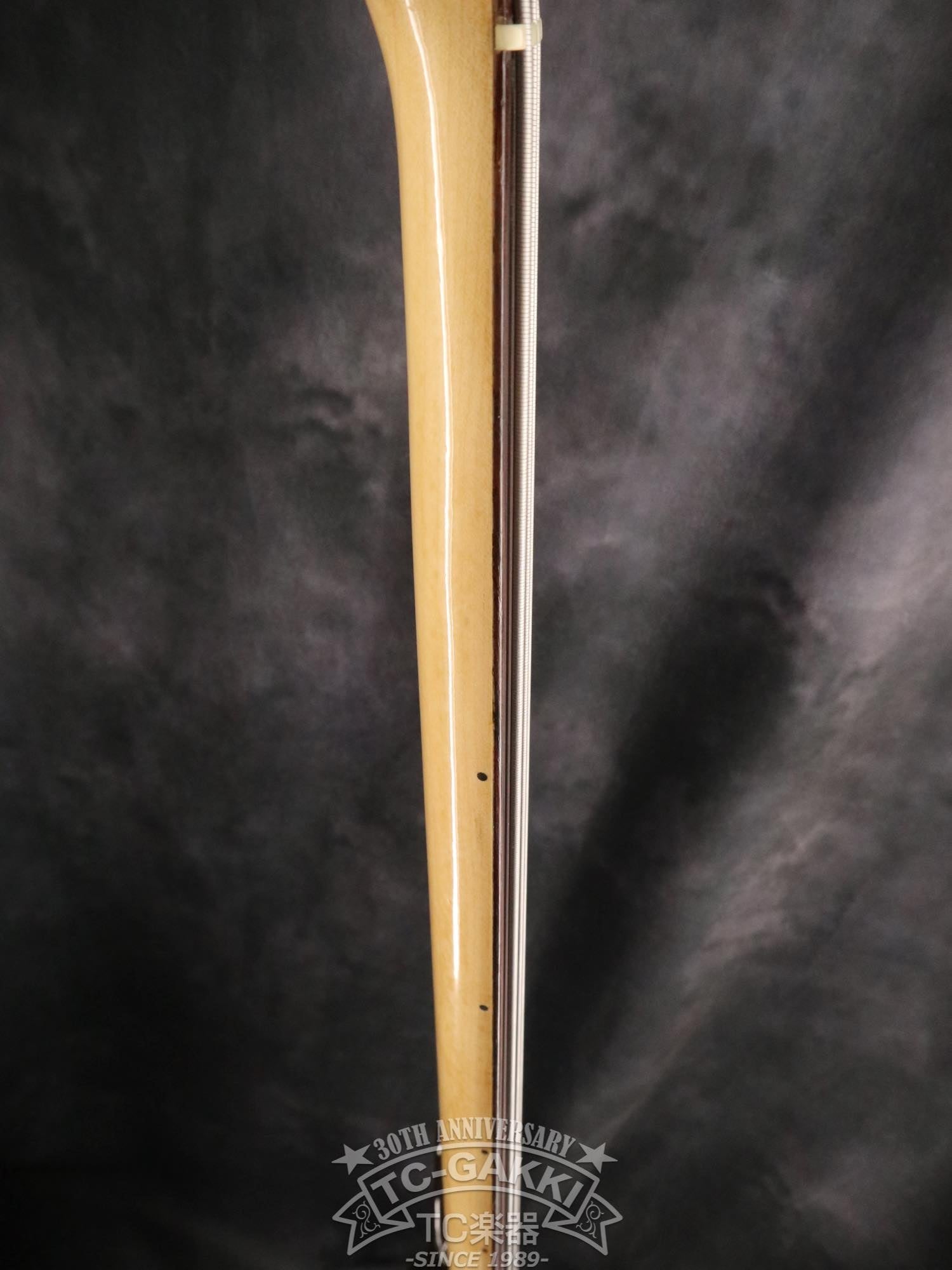 1980 Precision Bass Fretless - TC楽器 - TCGAKKI