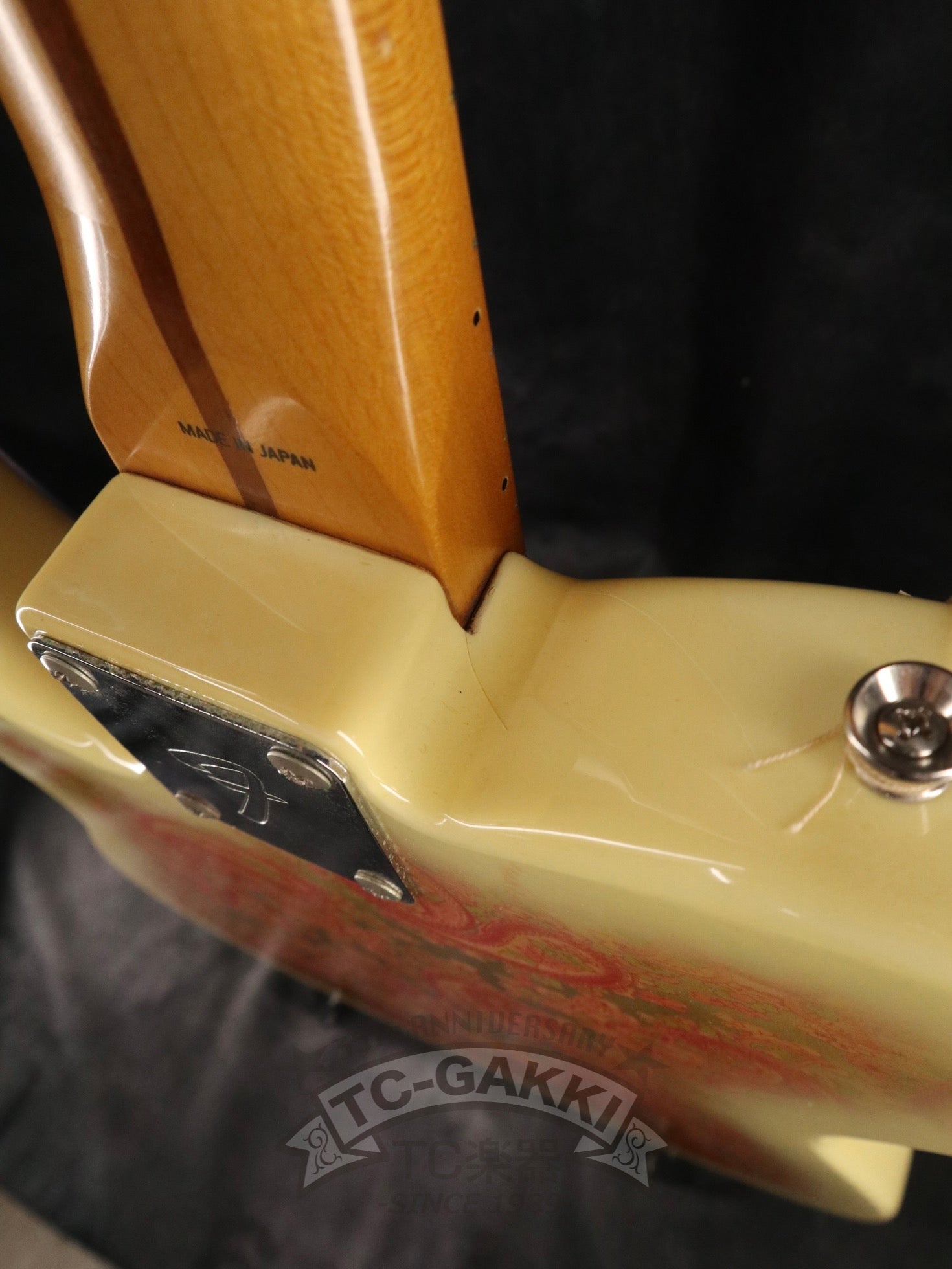 1980s TL69 - 75 Pink Paisley White Burst - TC楽器 - TCGAKKI