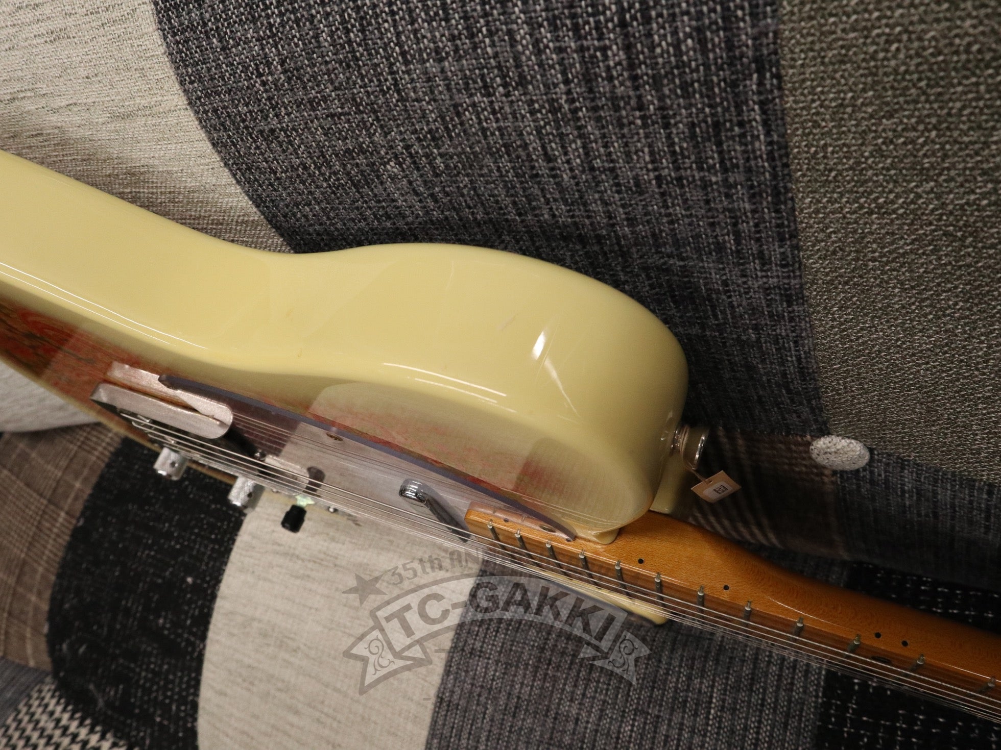 1980s TL69 - 75 Pink Paisley White Burst - TC楽器 - TCGAKKI