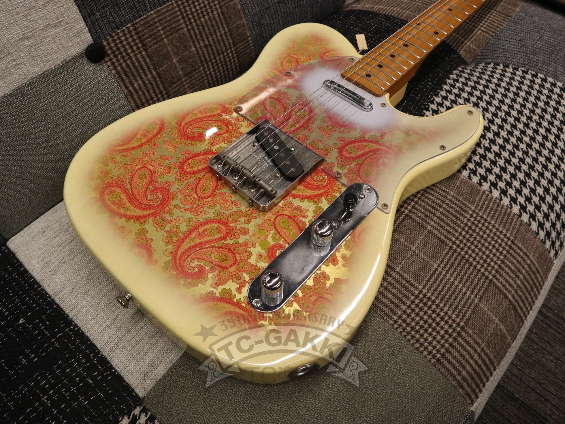 1980s TL69 - 75 Pink Paisley White Burst - TC楽器 - TCGAKKI