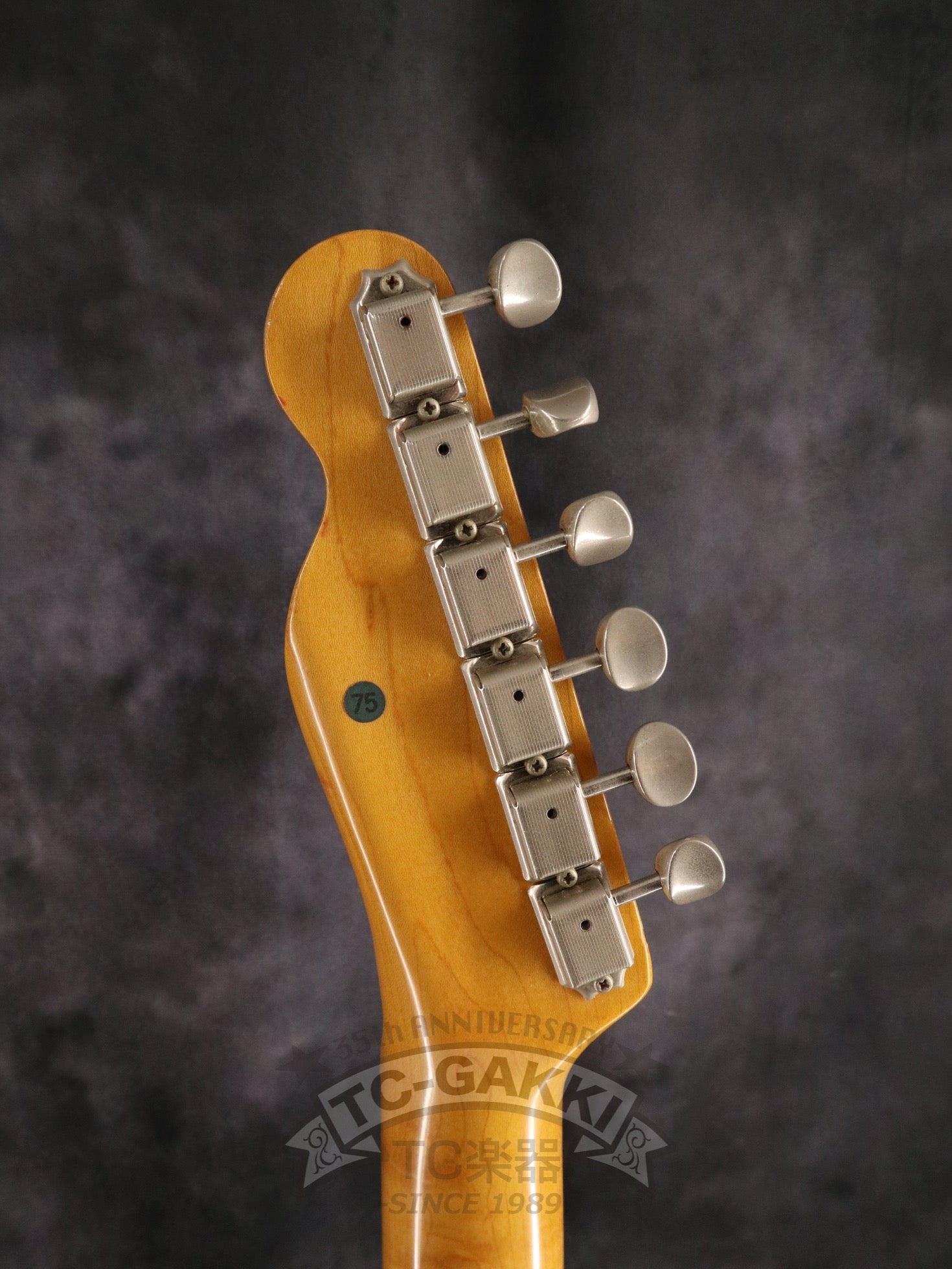 1980s TL69 - 75 Pink Paisley White Burst - TC楽器 - TCGAKKI