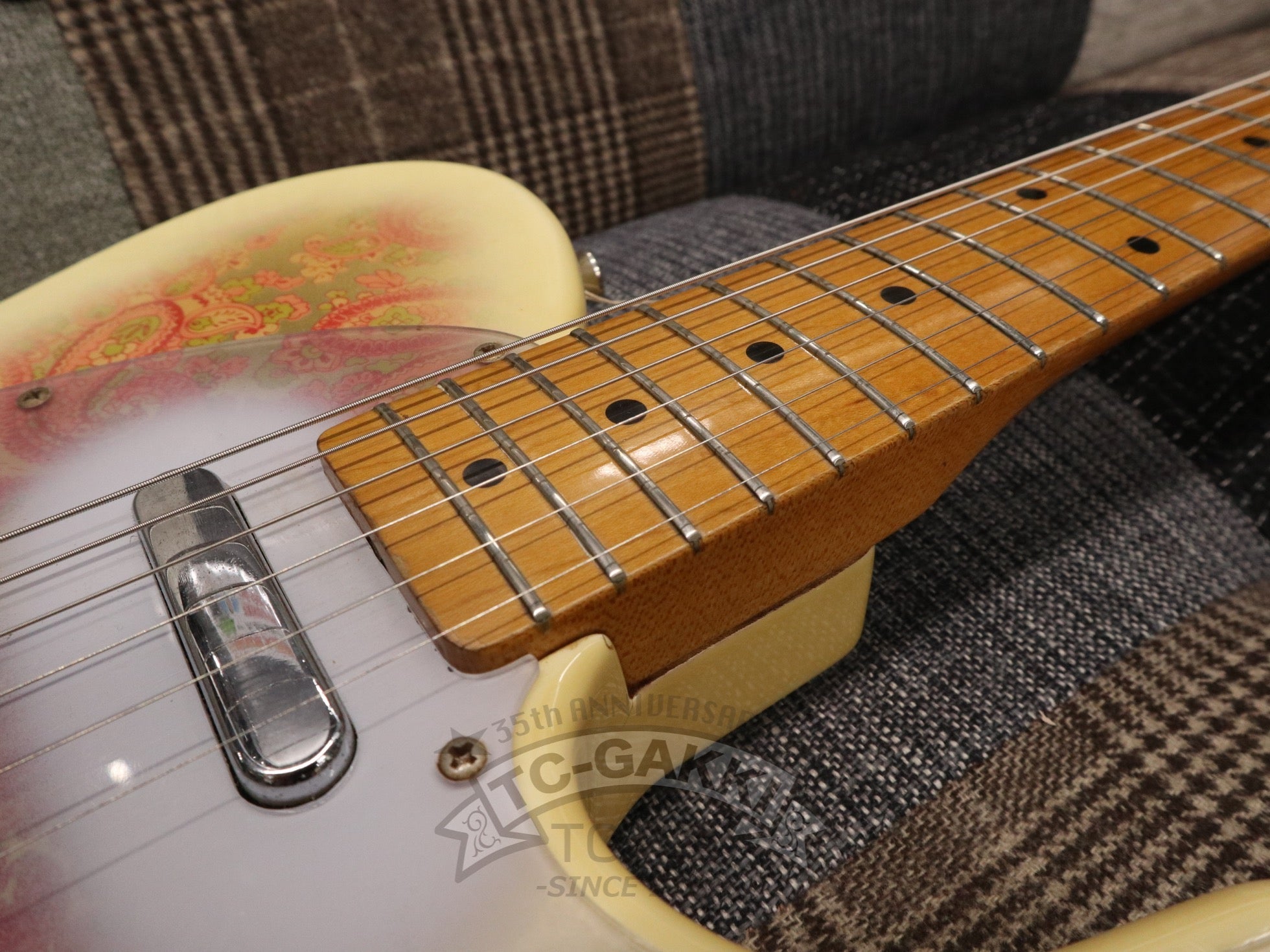 1980s TL69 - 75 Pink Paisley White Burst - TC楽器 - TCGAKKI