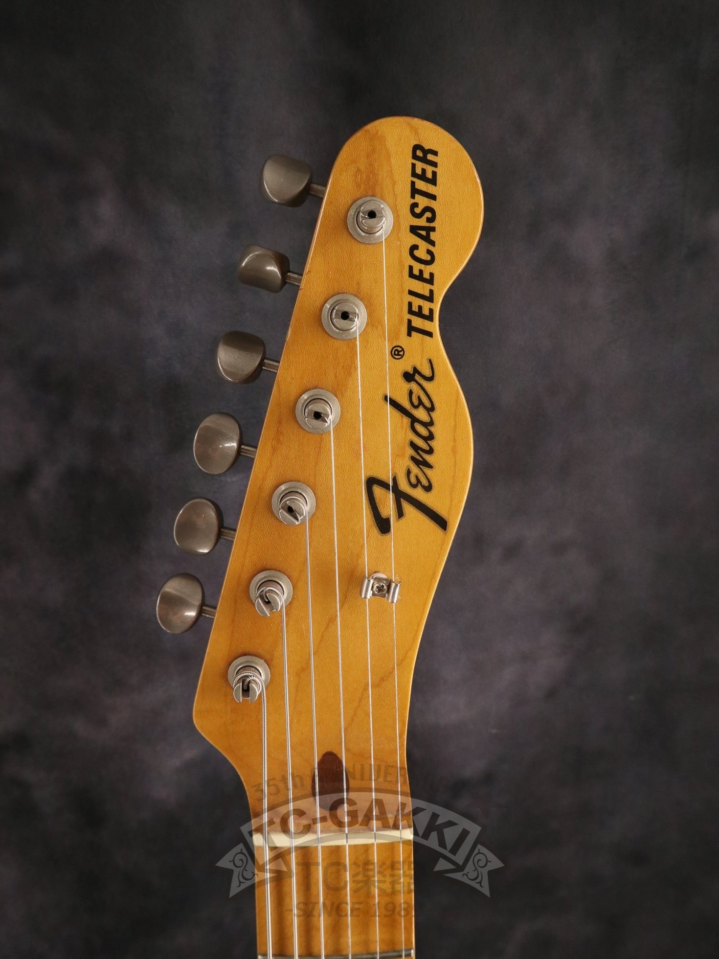 1980s TL69 - 75 Pink Paisley White Burst - TC楽器 - TCGAKKI